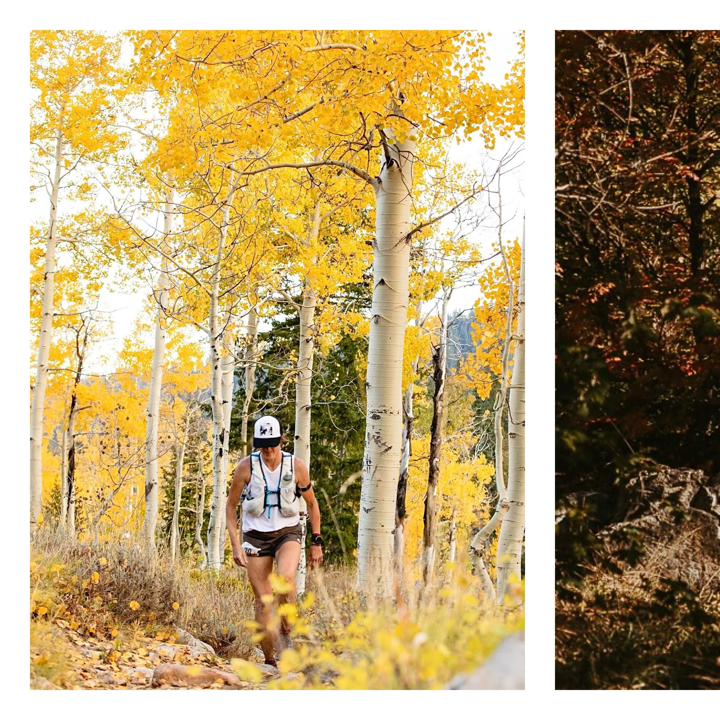 When you finish the Bear 10 times, you earn a pretty sweet award. Bryce earned his years ago, and little by little, I keep getting closer.

After UTMB, I knew I wanted to be gentle with myself at the Bear. I didn&rsquo;t need anything from this race 