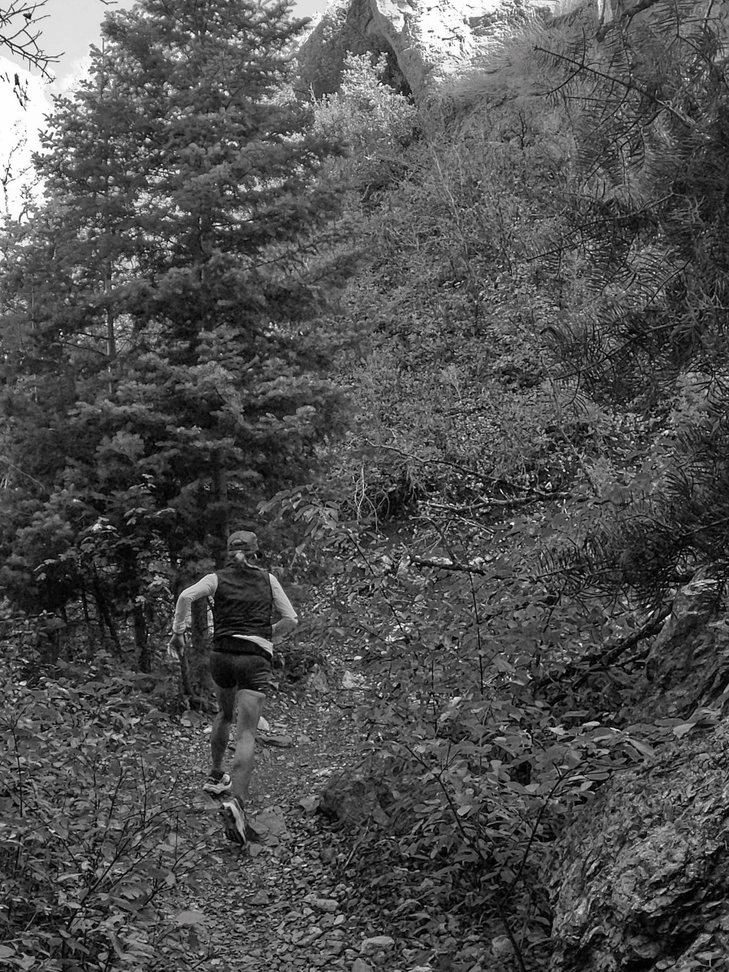 A solid week of running, watching autumn
rearrange the beautiful. 🍂

#trailrunning #fallrunning #goodvibes #mountains #runner