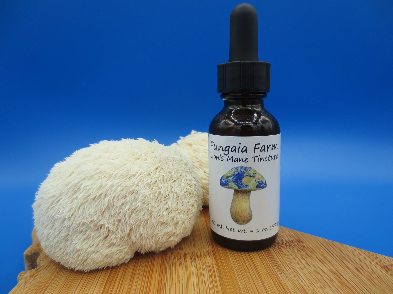 Best Lions Mane Mushroom Tincture