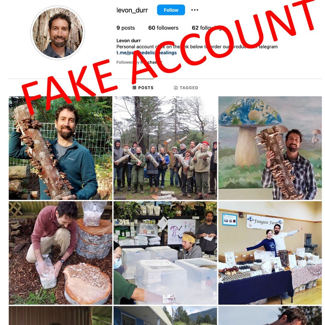 FAKE Account! Hey folks someone is posing as me and trying to sell psychedelic mushrooms using our photos. Please report this fake account if you have the chance. Thanks! 
#trolls #fakeaccount #annoying #getalife