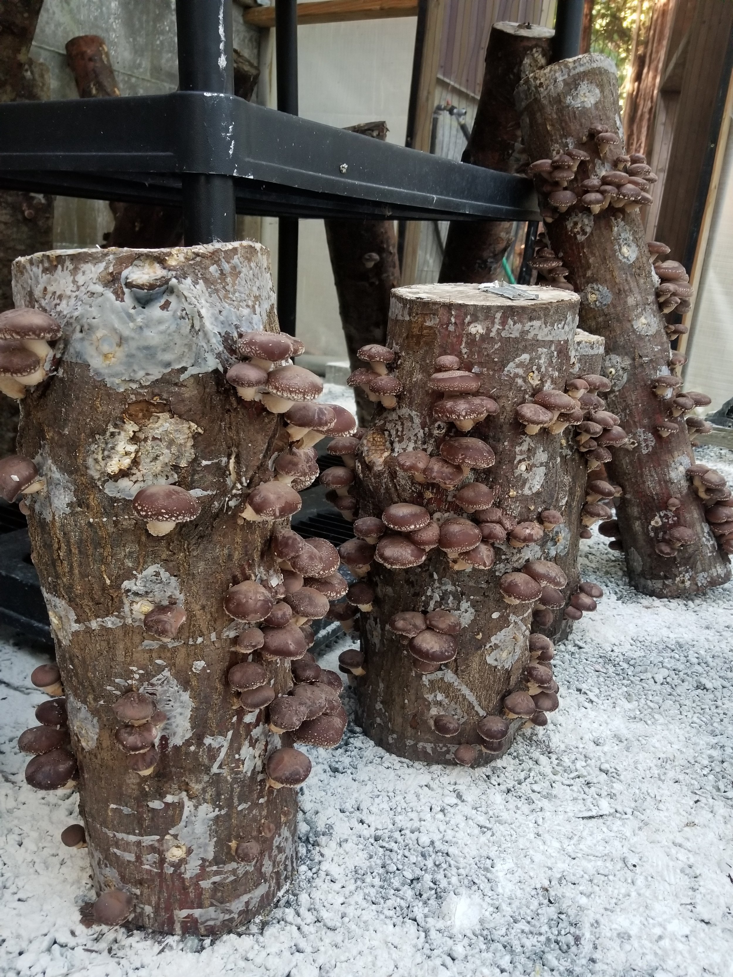 20201103_125130.jpg