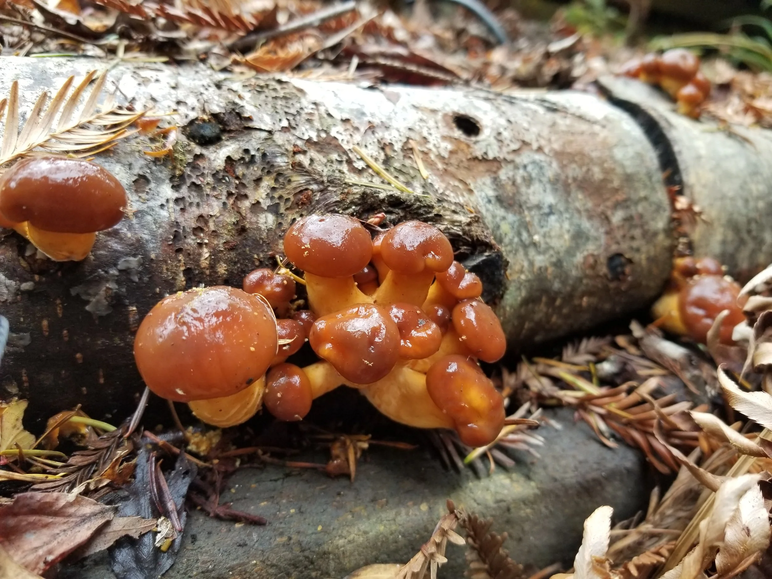 20201115_140920.jpg