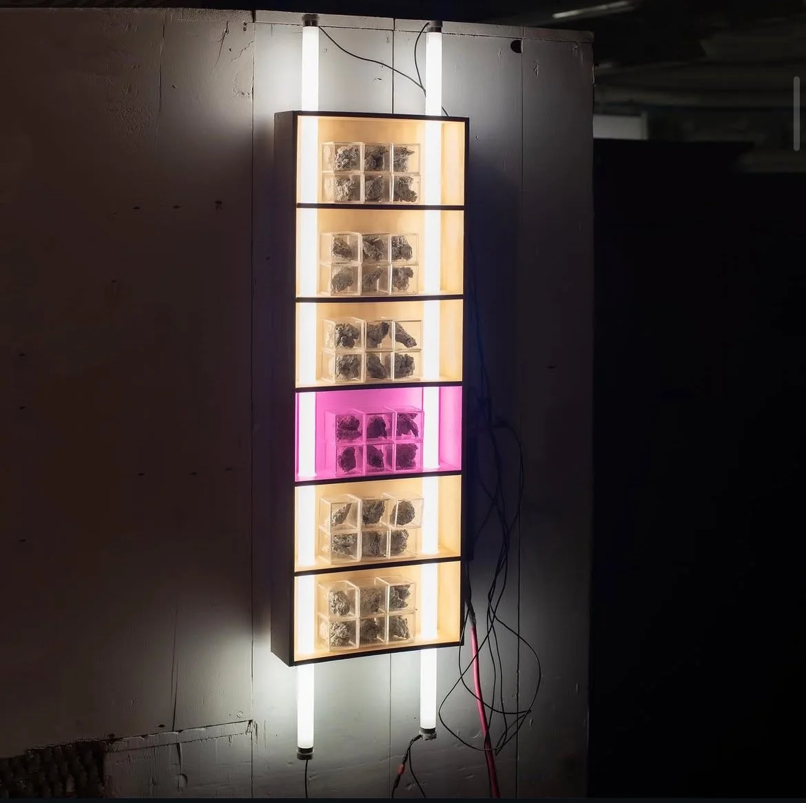 Sean Sullivan, MFA thesis,  Examination of Self