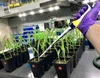 Switch Bioworks