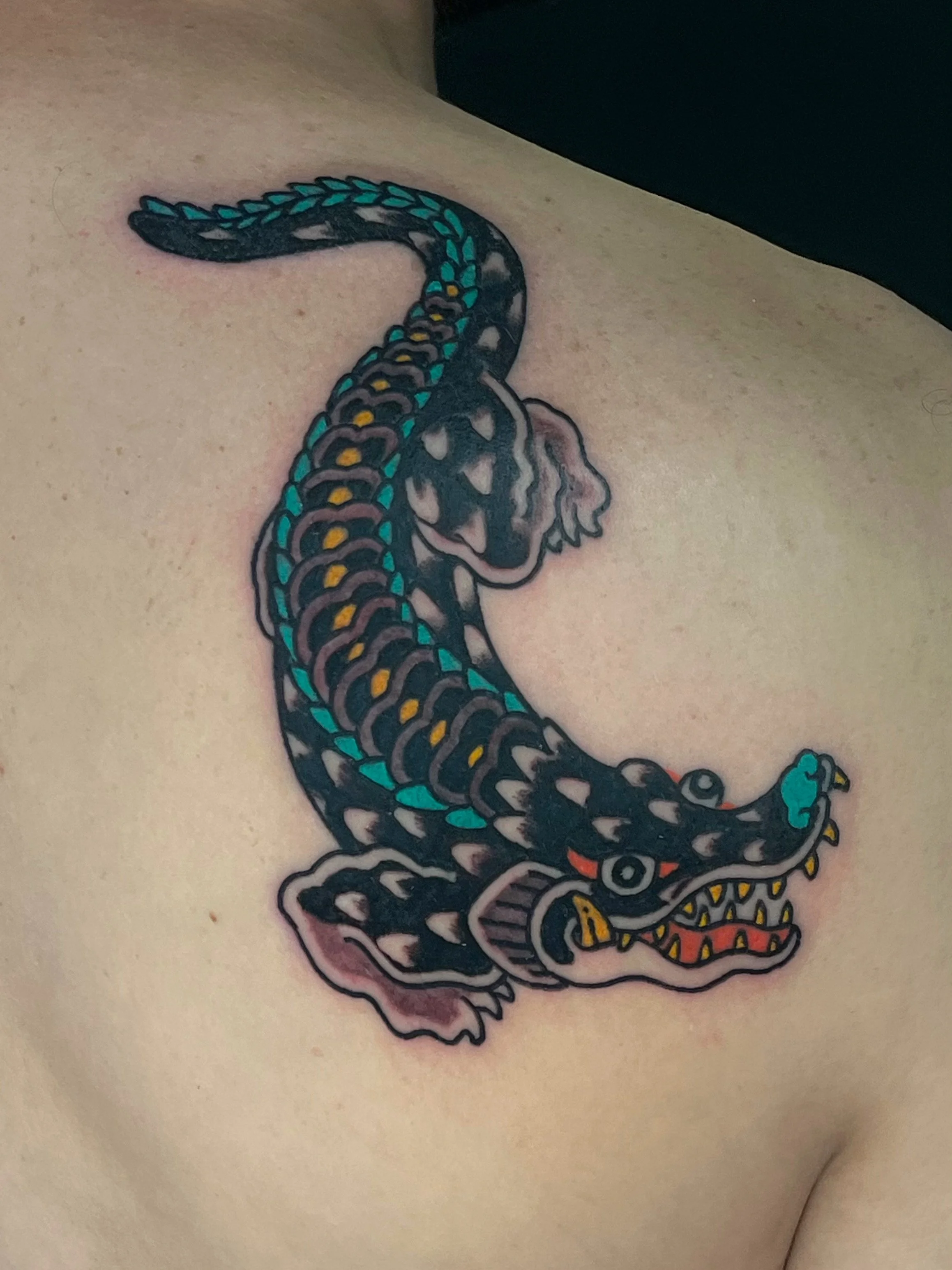 Japanese Traditional Crocodile by Diaota