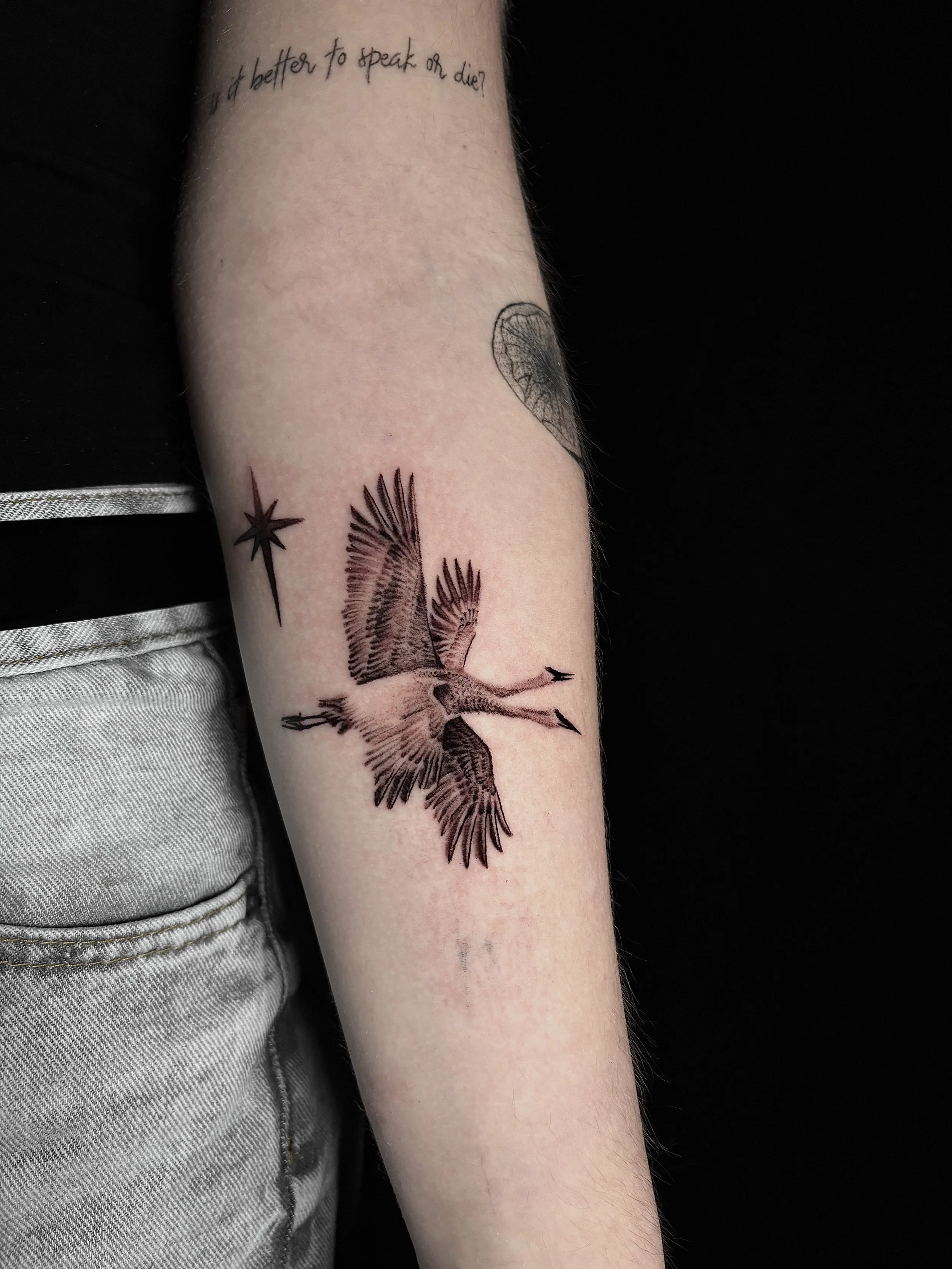 Tattoo of a Crane on a person's forearm, Surrealism Tattoo Done by Pablo at Ink Terminal Ottawa Gatineau