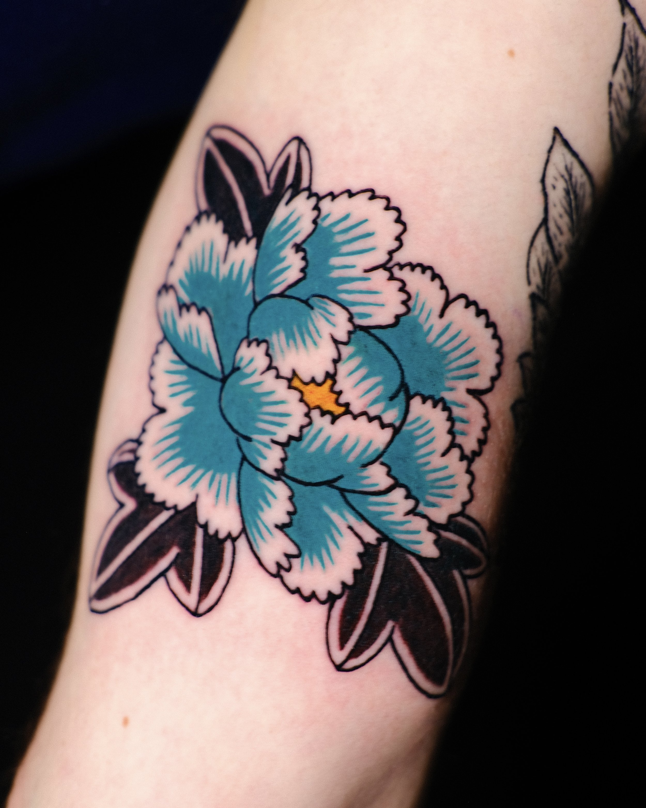 Japanese Traditional Peony by Diaota
