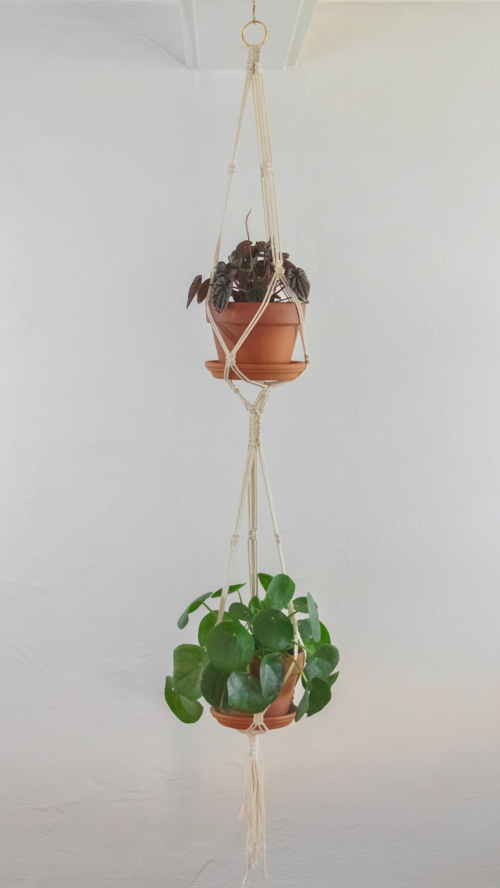 https://i.etsystatic.com/5003926/r/il/6f807c/2216332340/il_fullxfull.2216332340_4h4w.jpg