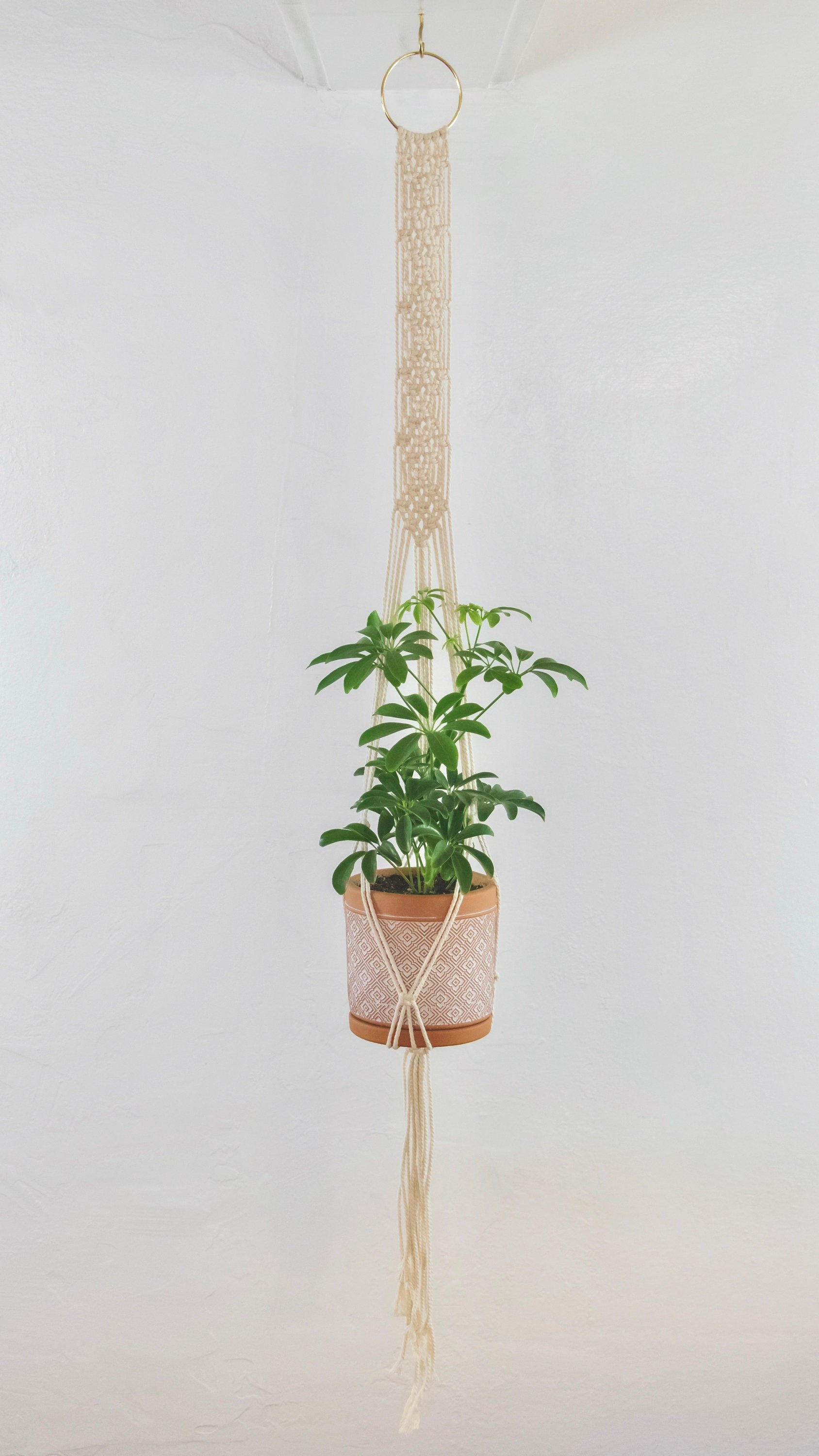 https://i.etsystatic.com/5003926/r/il/bef70b/2216318928/il_fullxfull.2216318928_4wi1.jpg