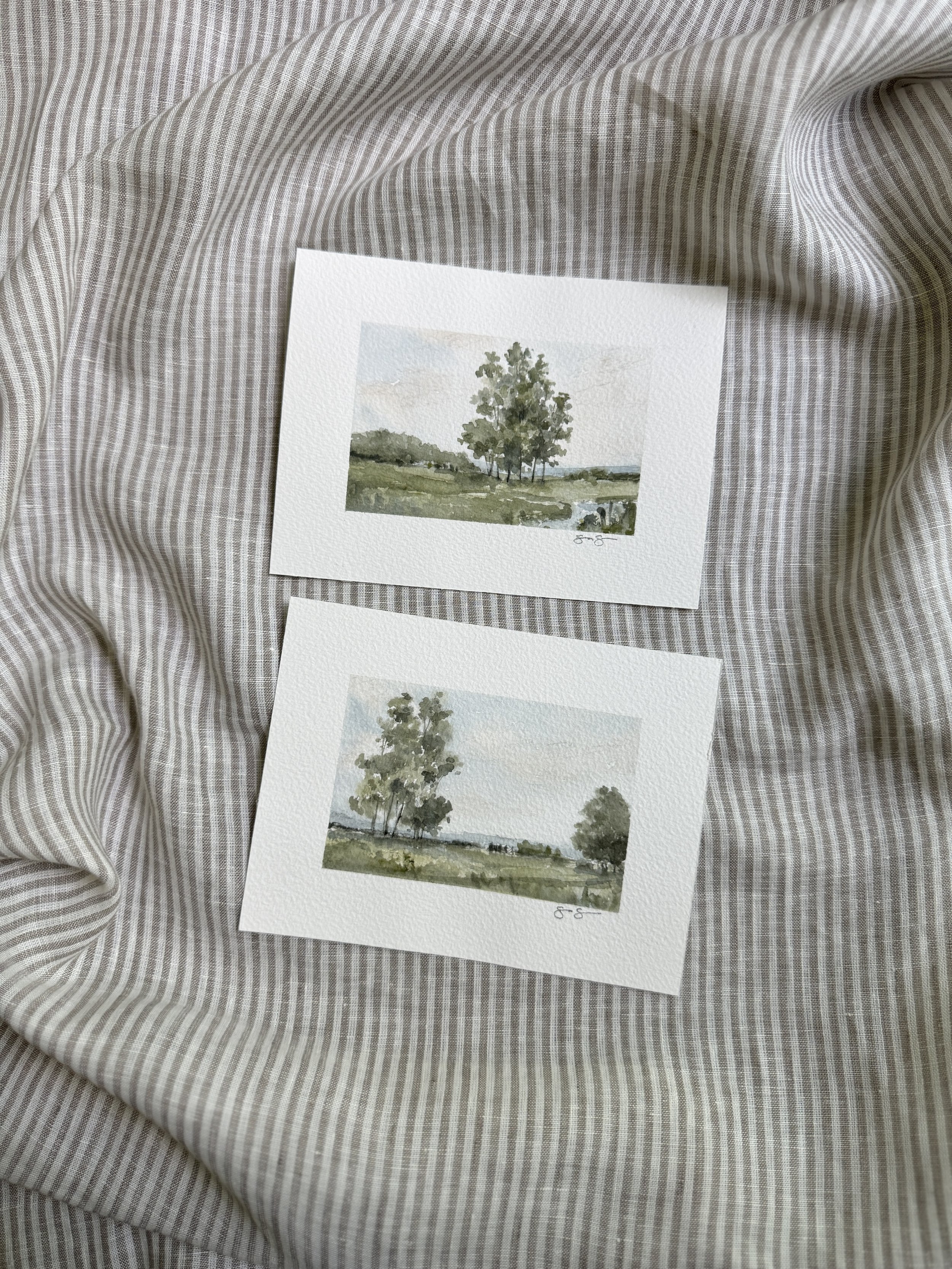 IMG_0834.jpeg