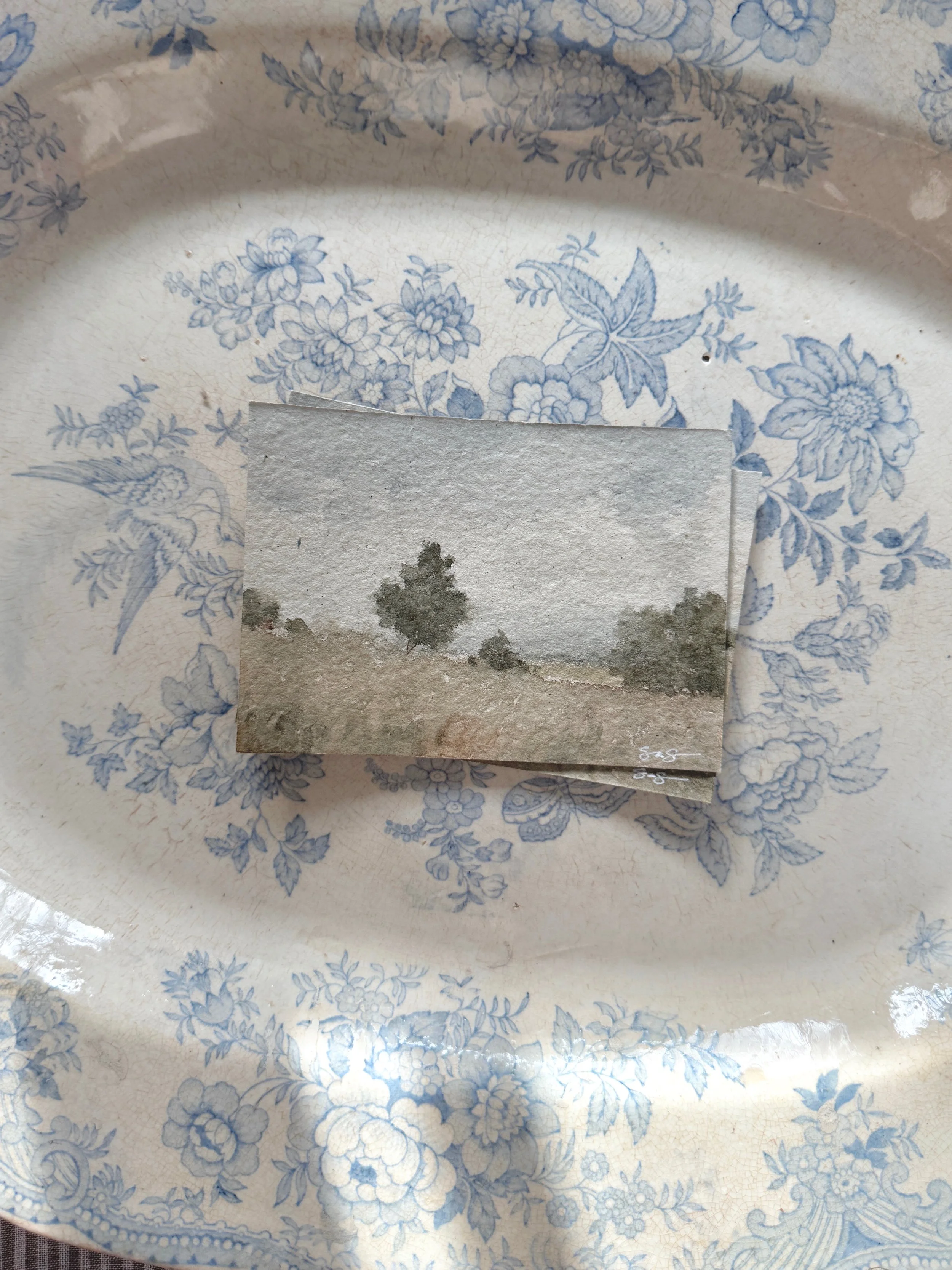 The Joy of Living 04