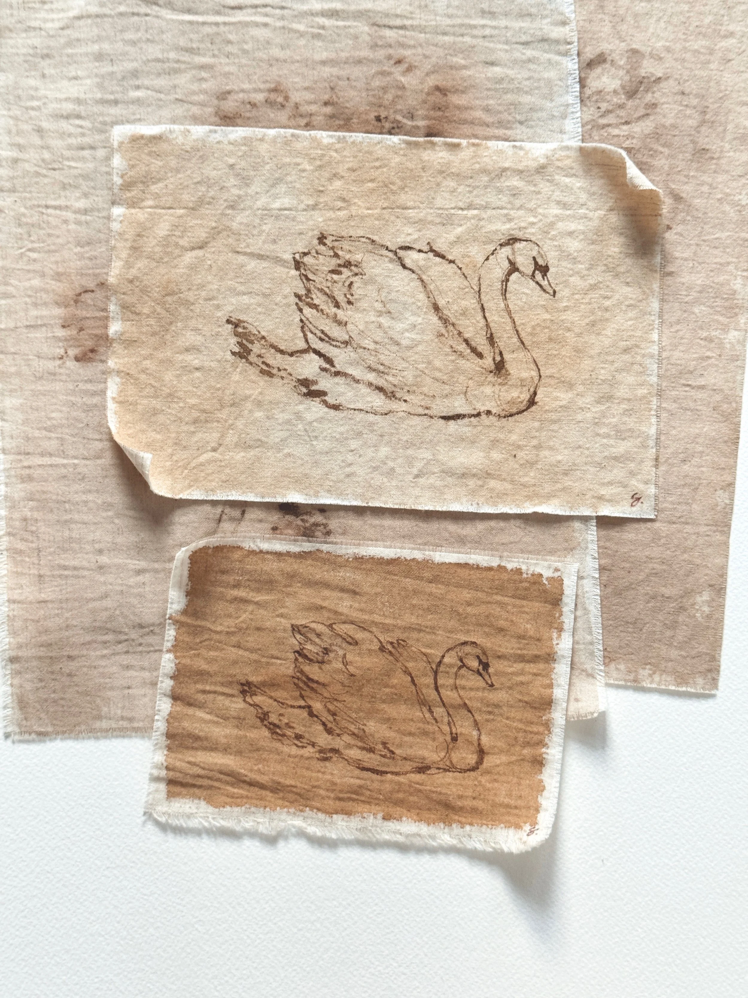 The Joy of Living 20