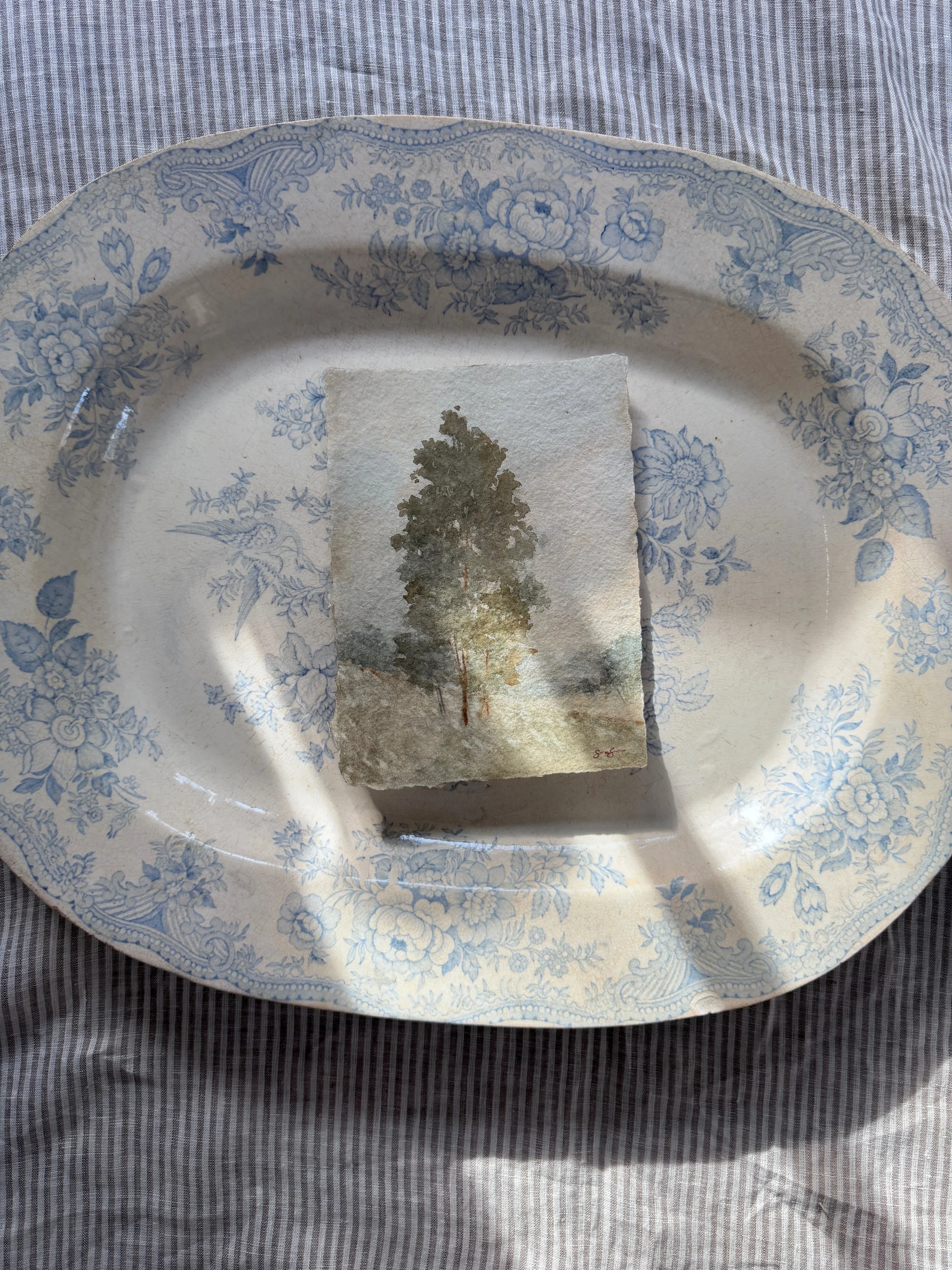 The Joy of Living 02