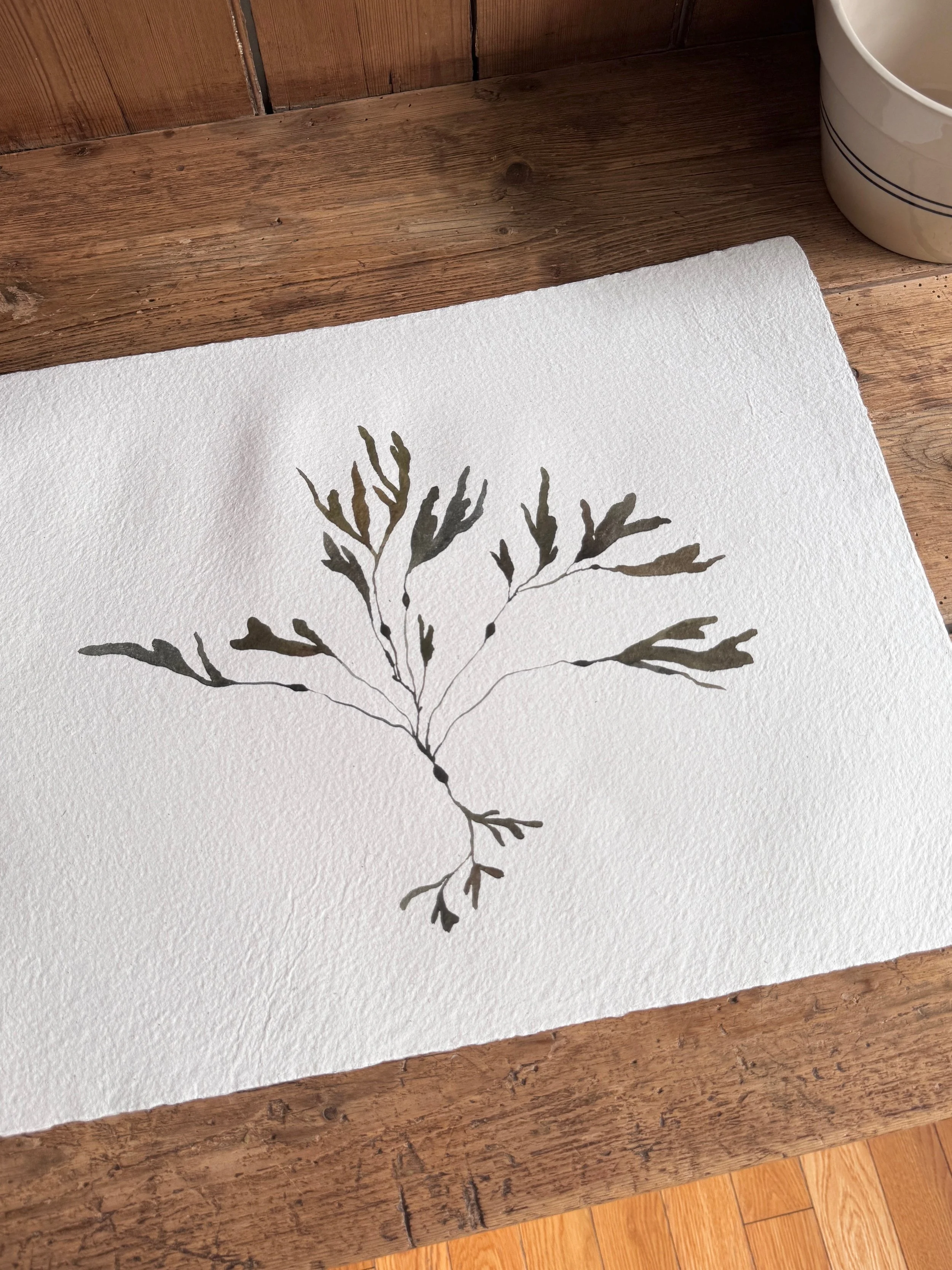 IMG_5197.jpg