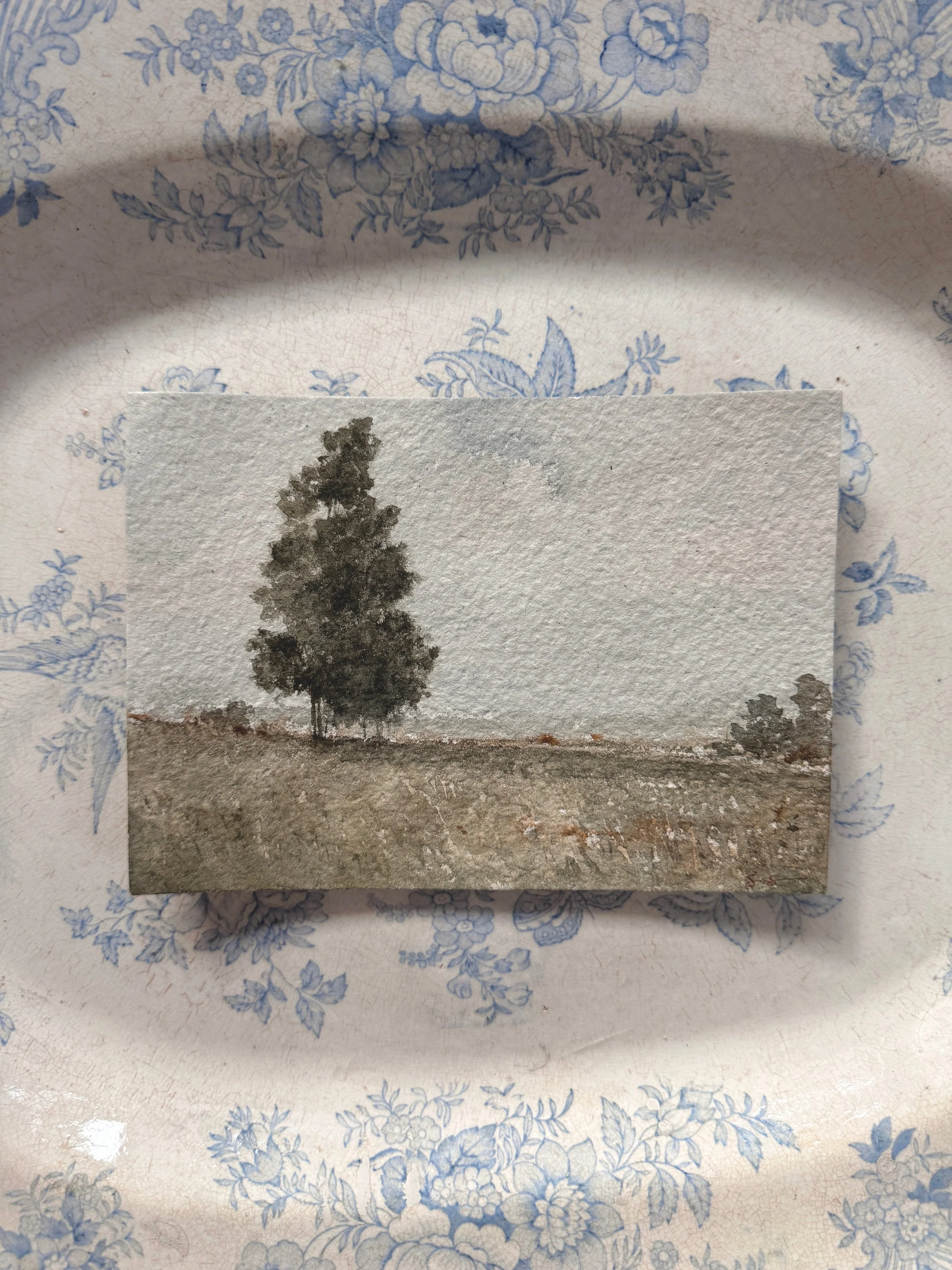 The Joy of Living 11