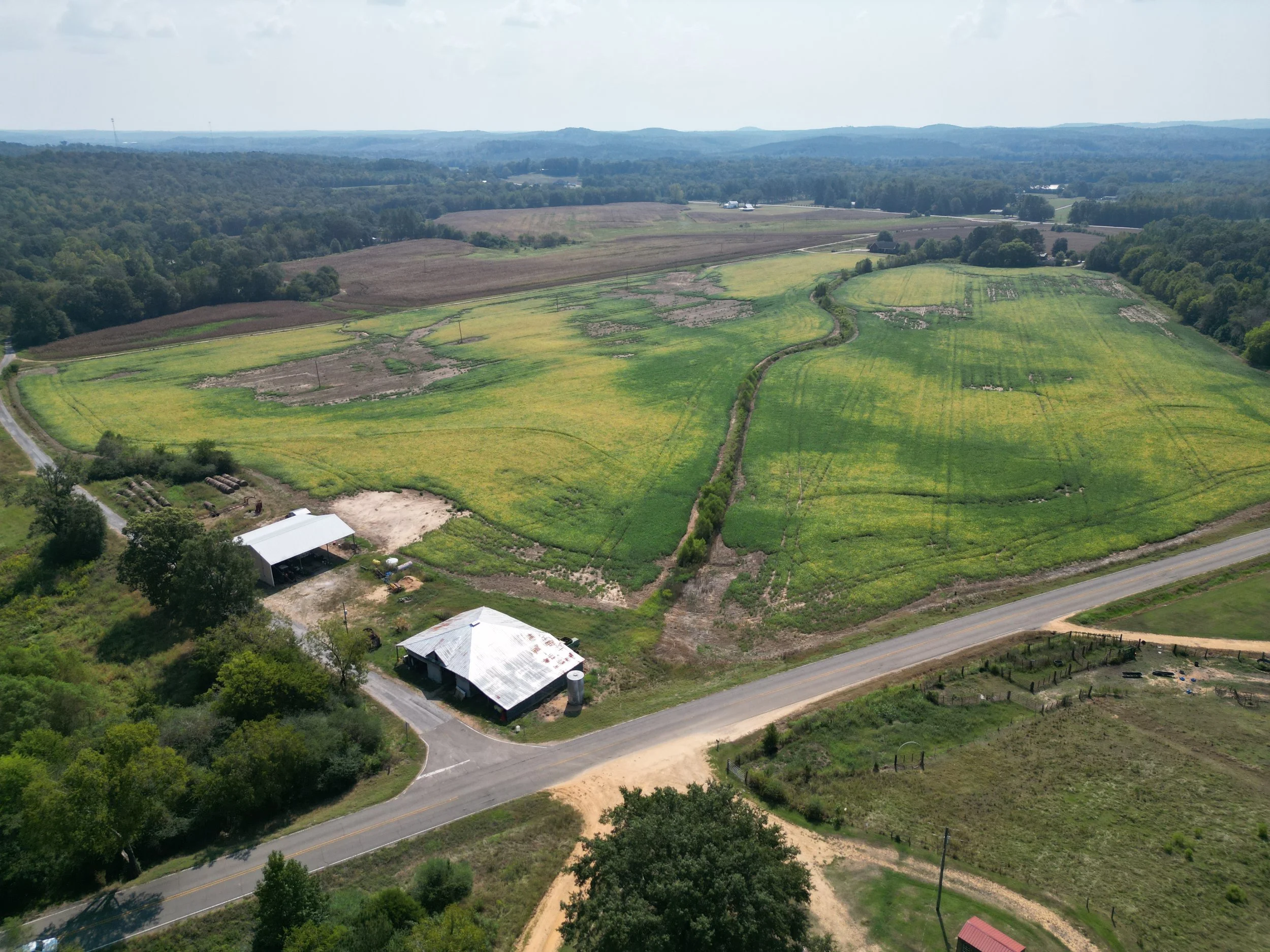 +/- 50 Acres - Hwy 253, Hamilton, AL