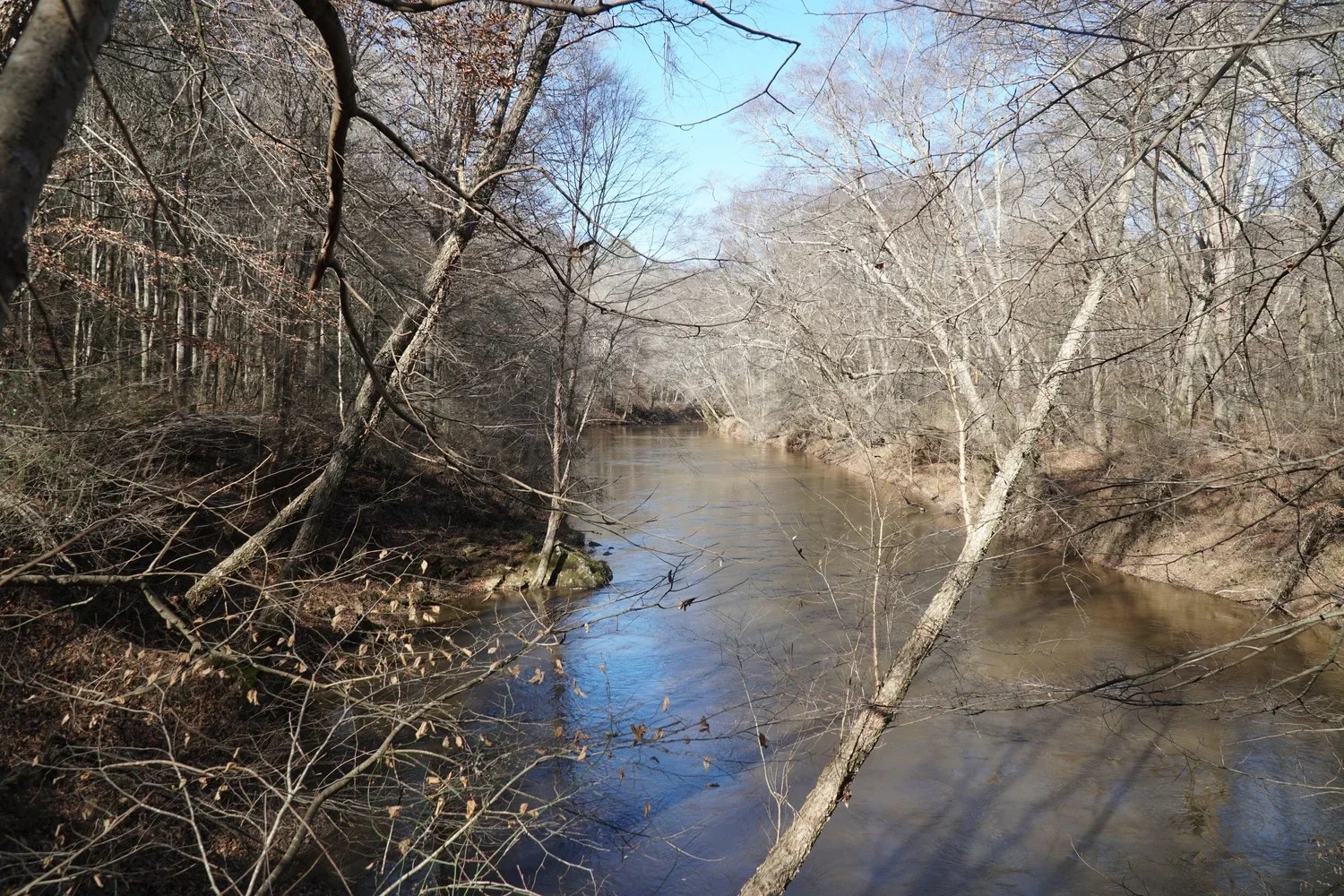 Cost-Share Funding for Landowners: A Guide to NRCS &amp; State Forestry Programs