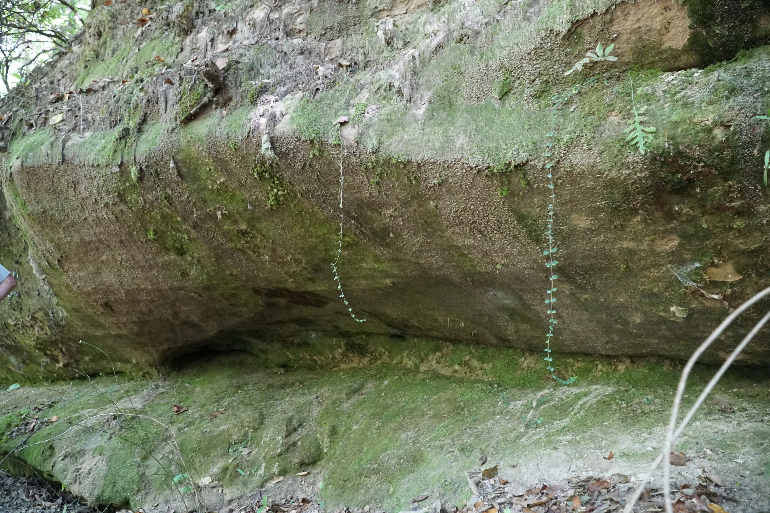 DSC04097.JPG