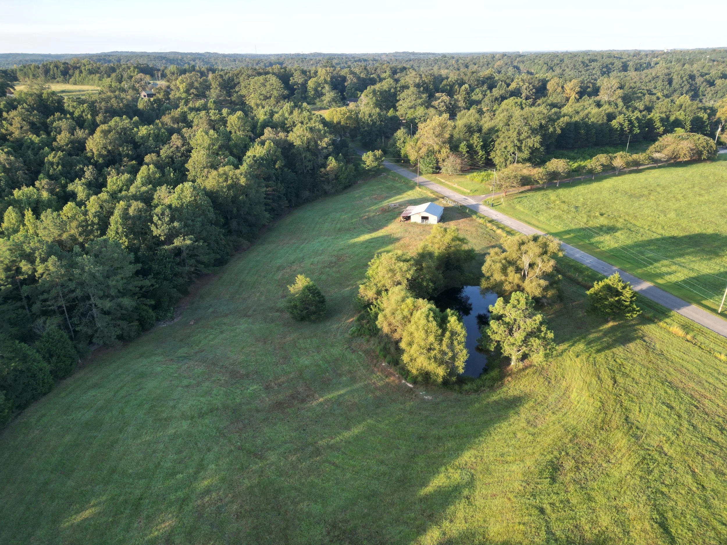 DJI_0313.JPG