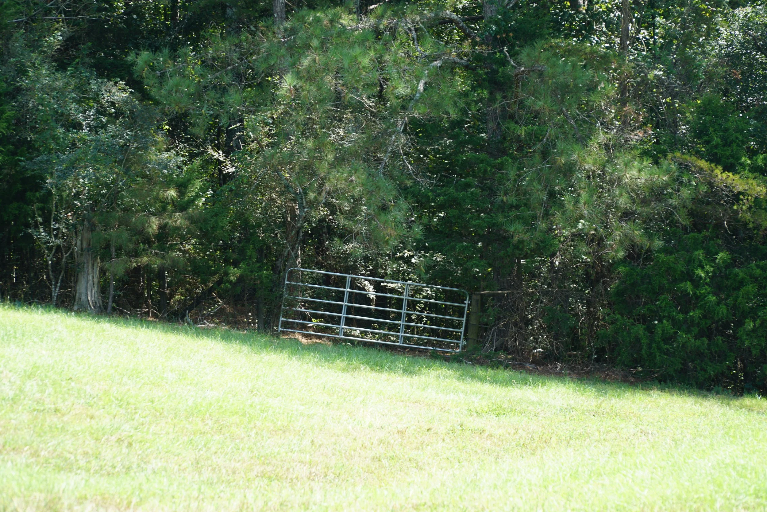 DSC04080.JPG