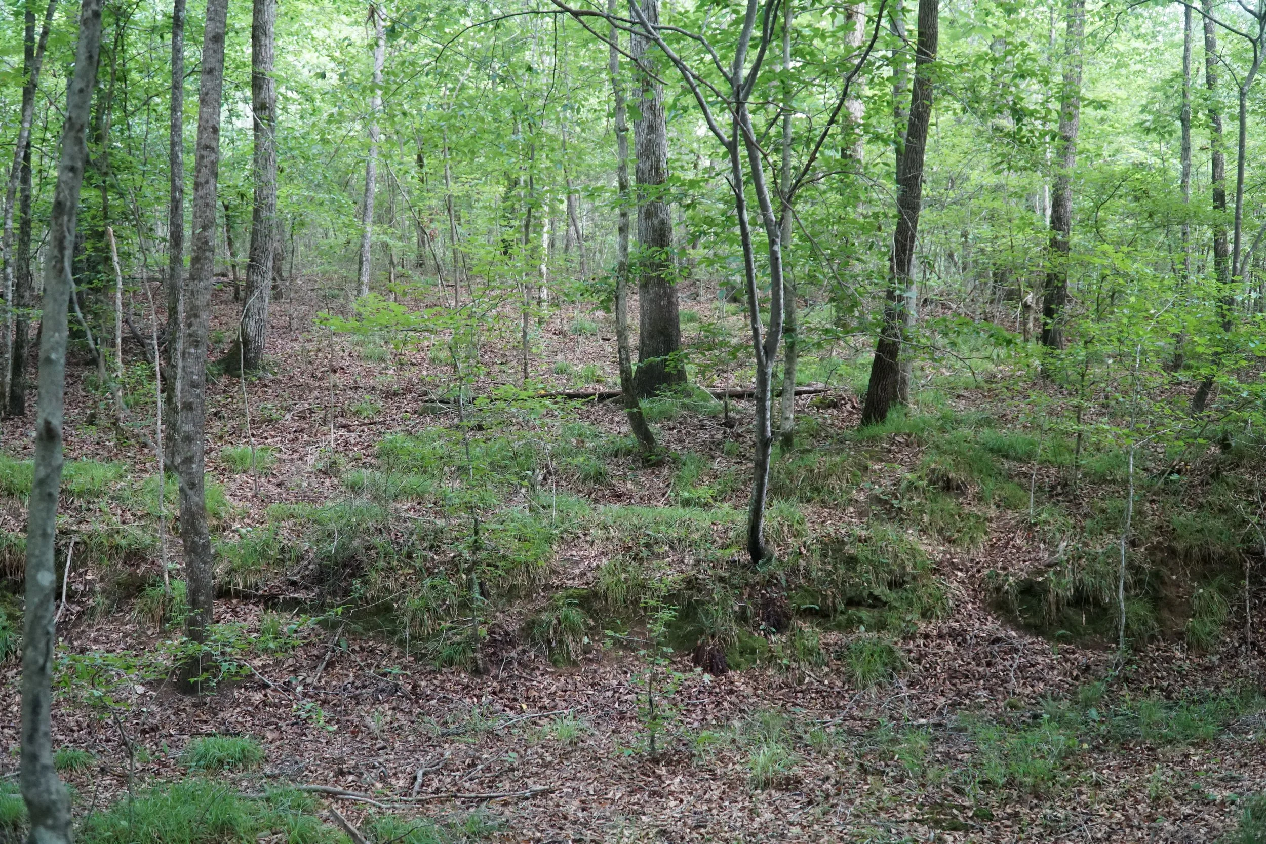 DSC03719.JPG