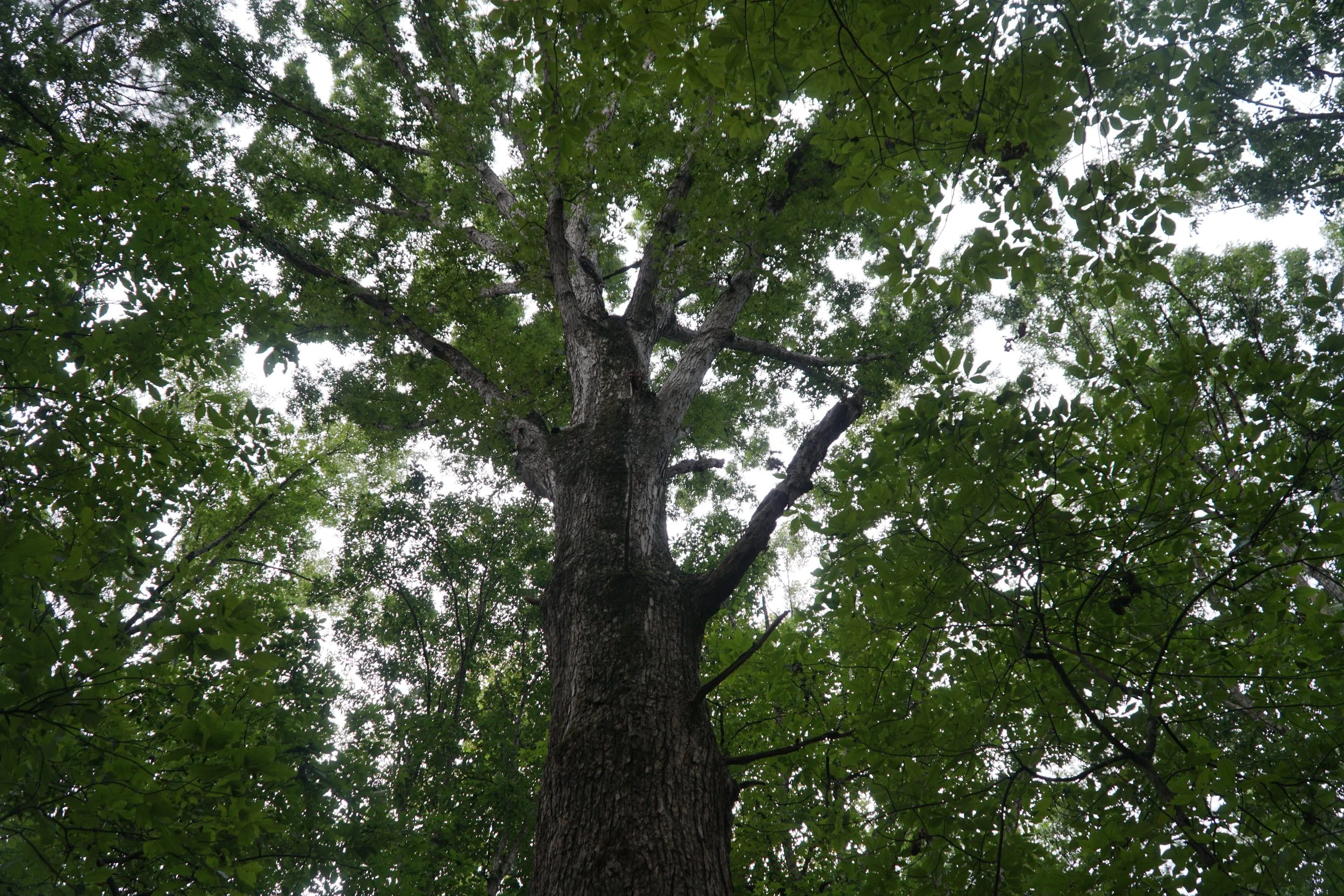 DSC04052.JPG