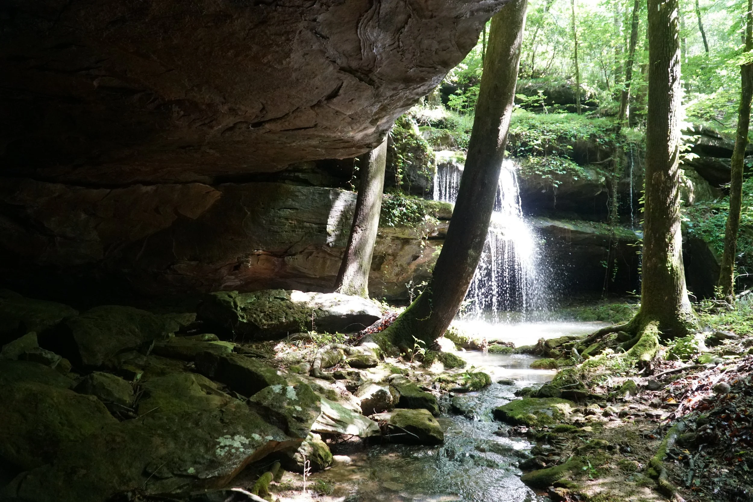 +/- 115 Acres - County Road 105, Double Springs, AL