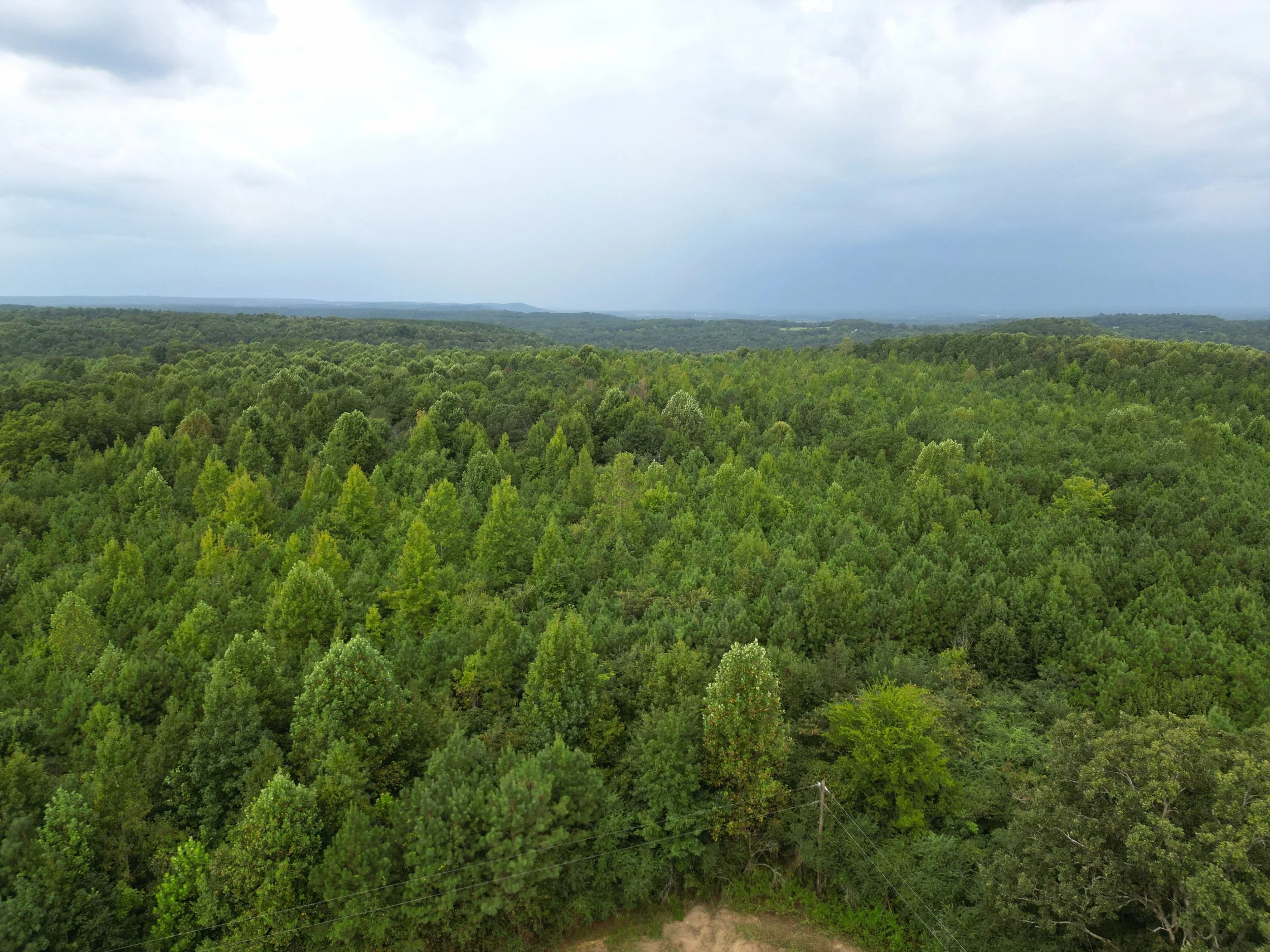 DJI_0303.JPG