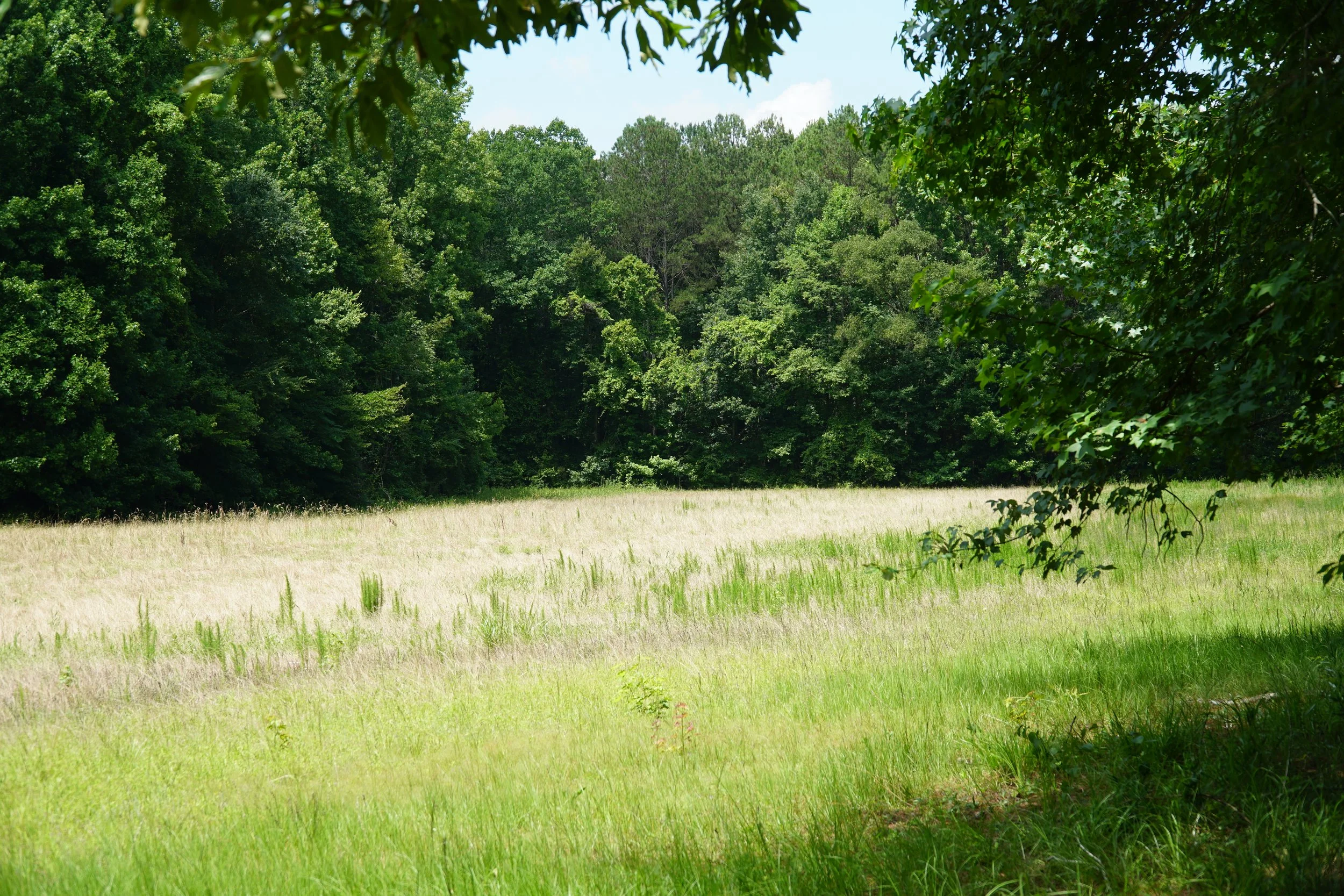 DSC03783.JPG