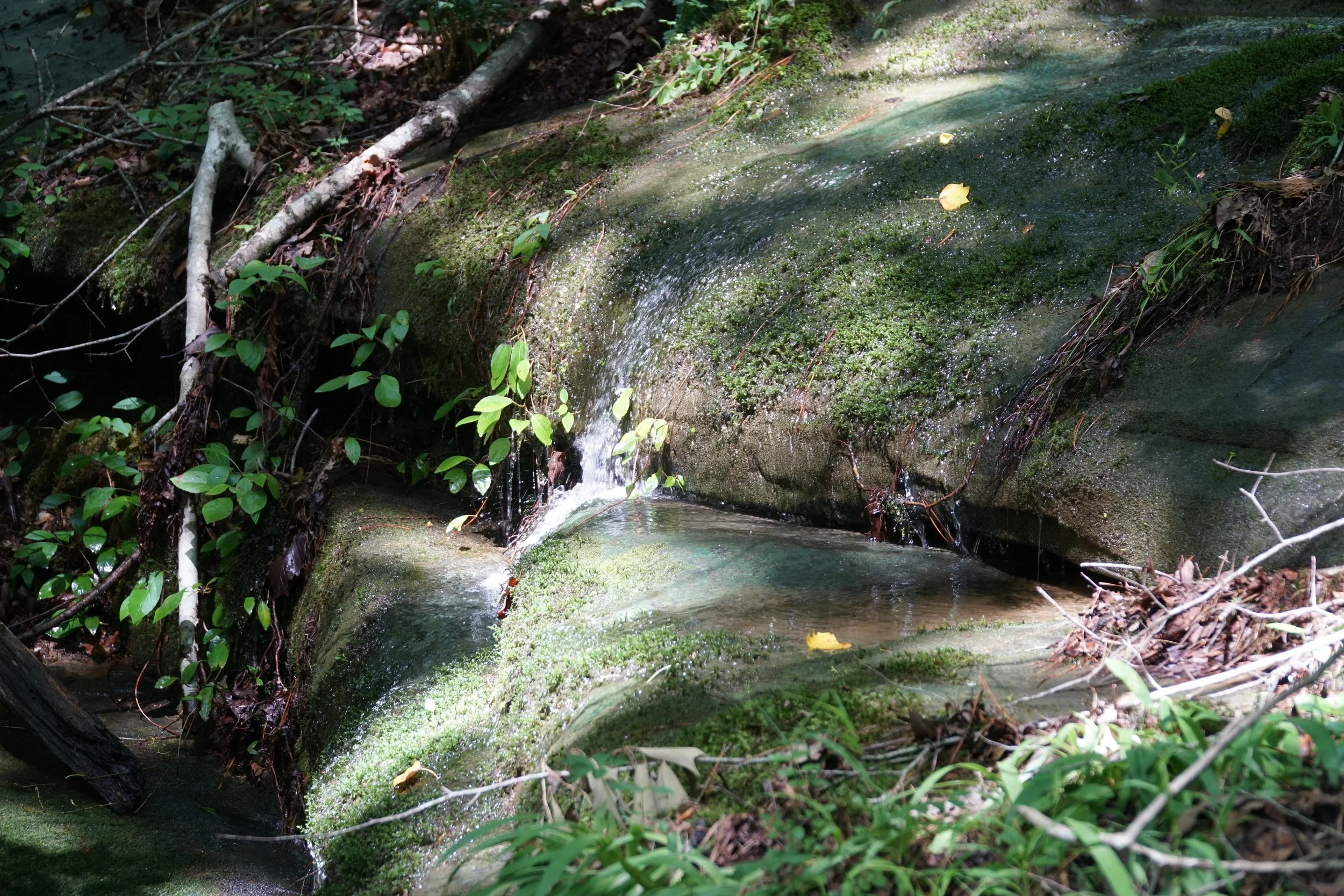 DSC03630.JPG