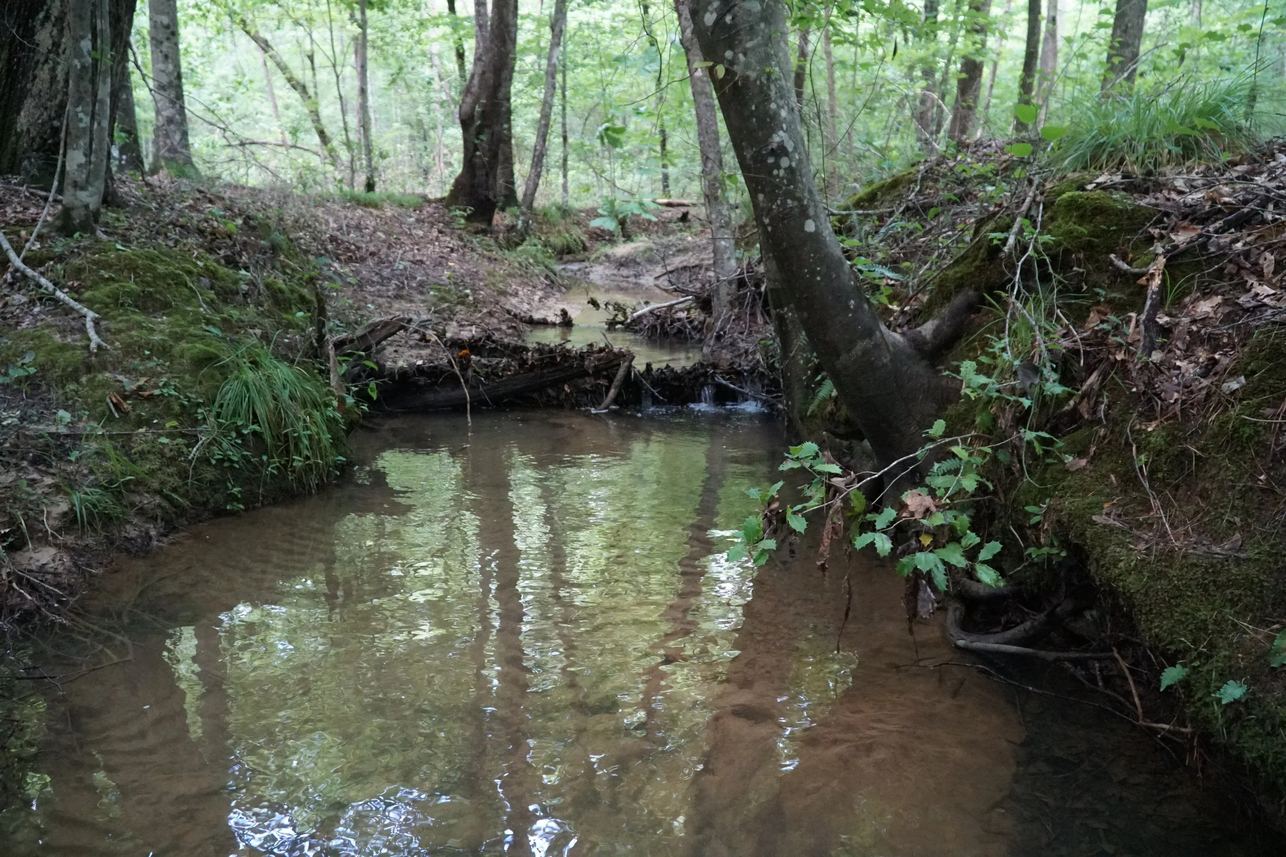 DSC03717.JPG