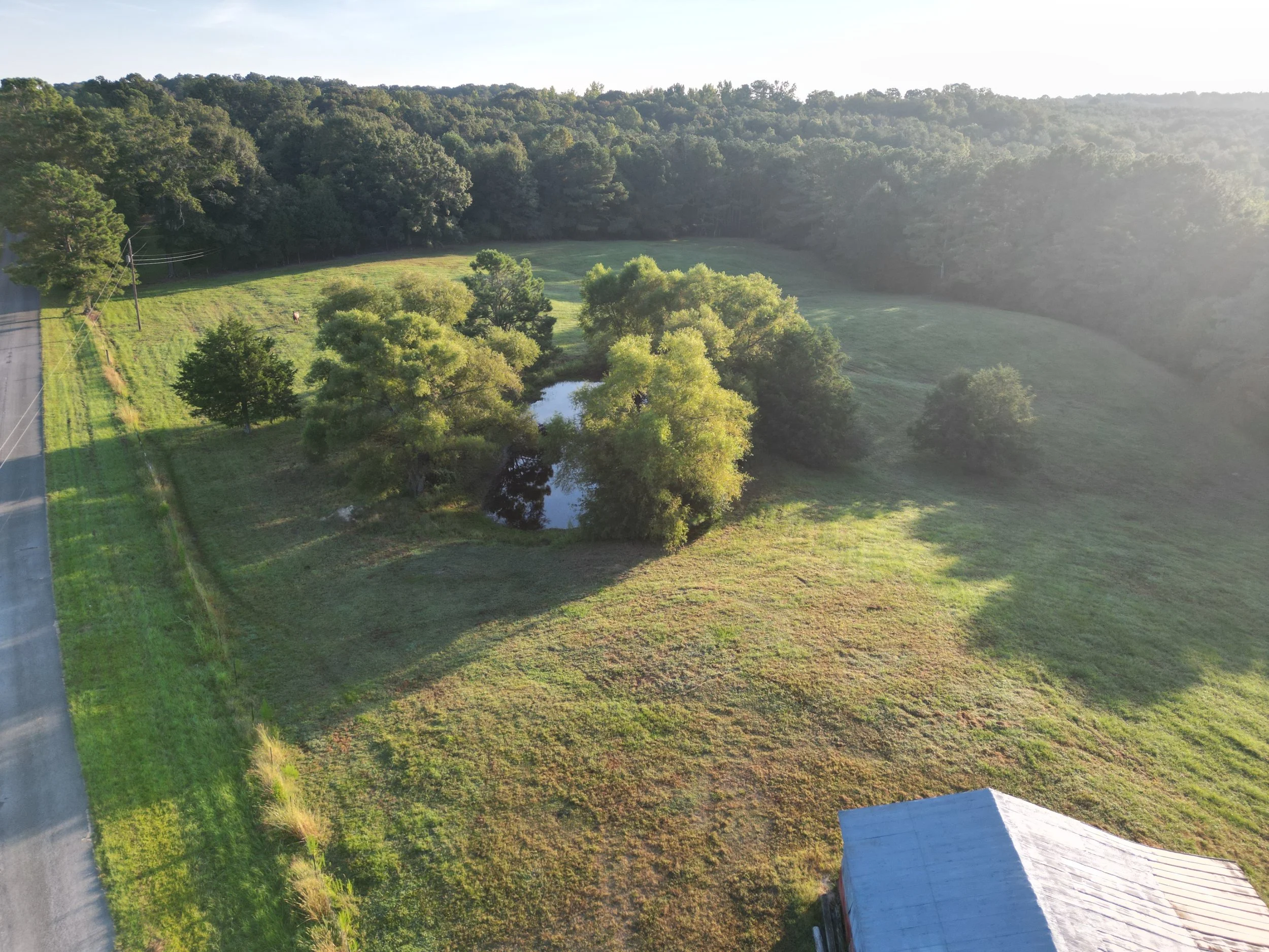 DJI_0316.JPG