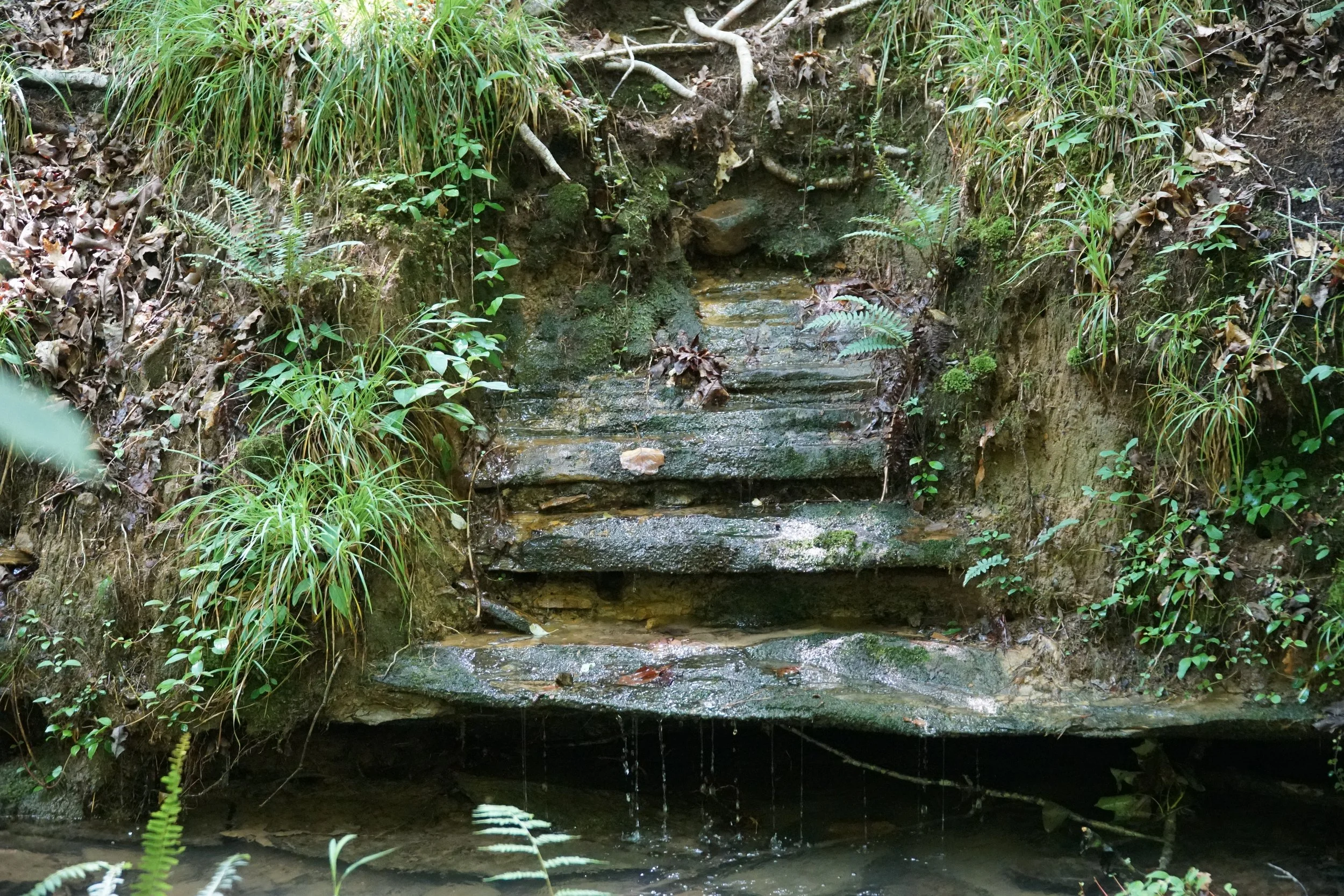 DSC03657.JPG