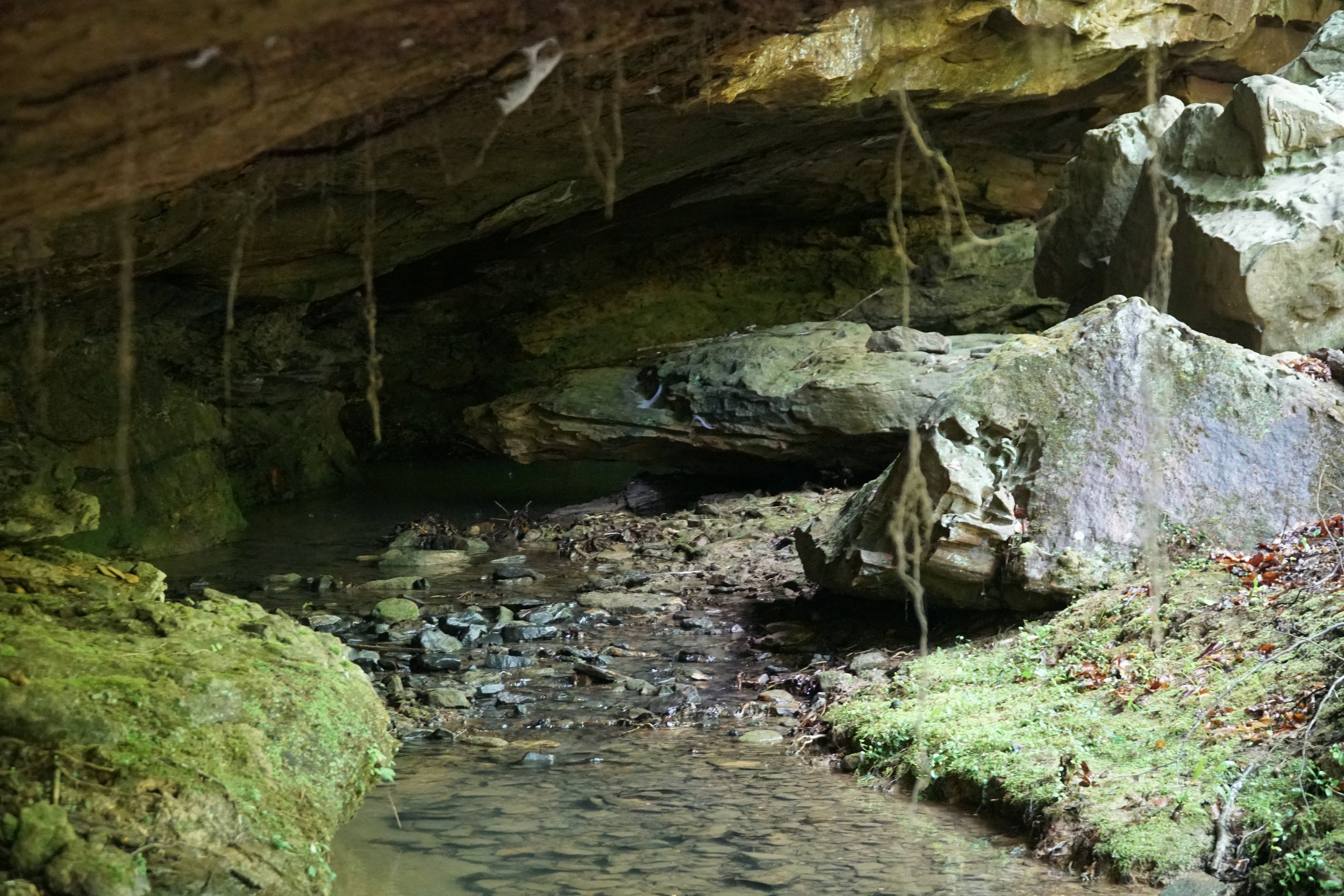 DSC03634.JPG