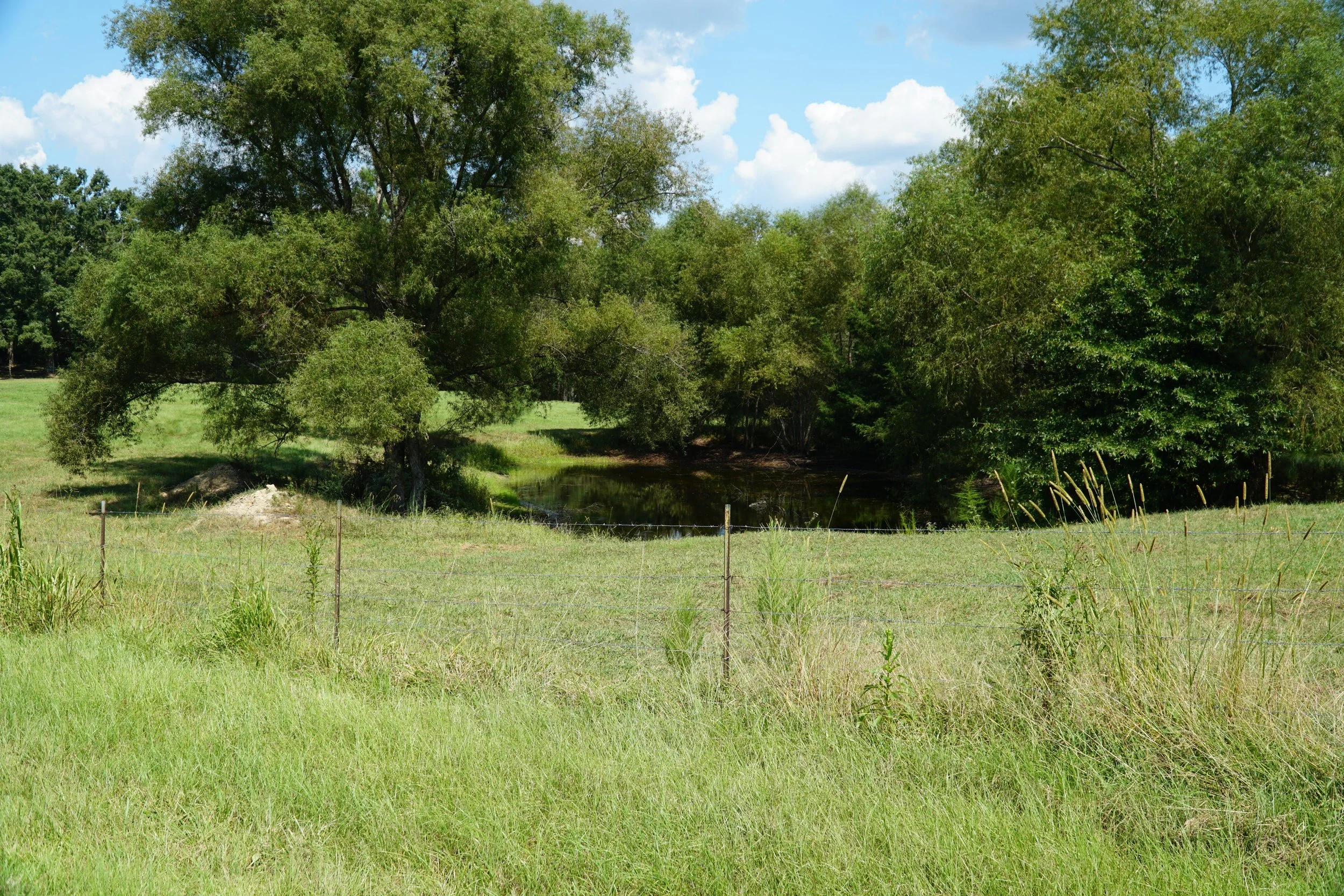 DSC04130.JPG