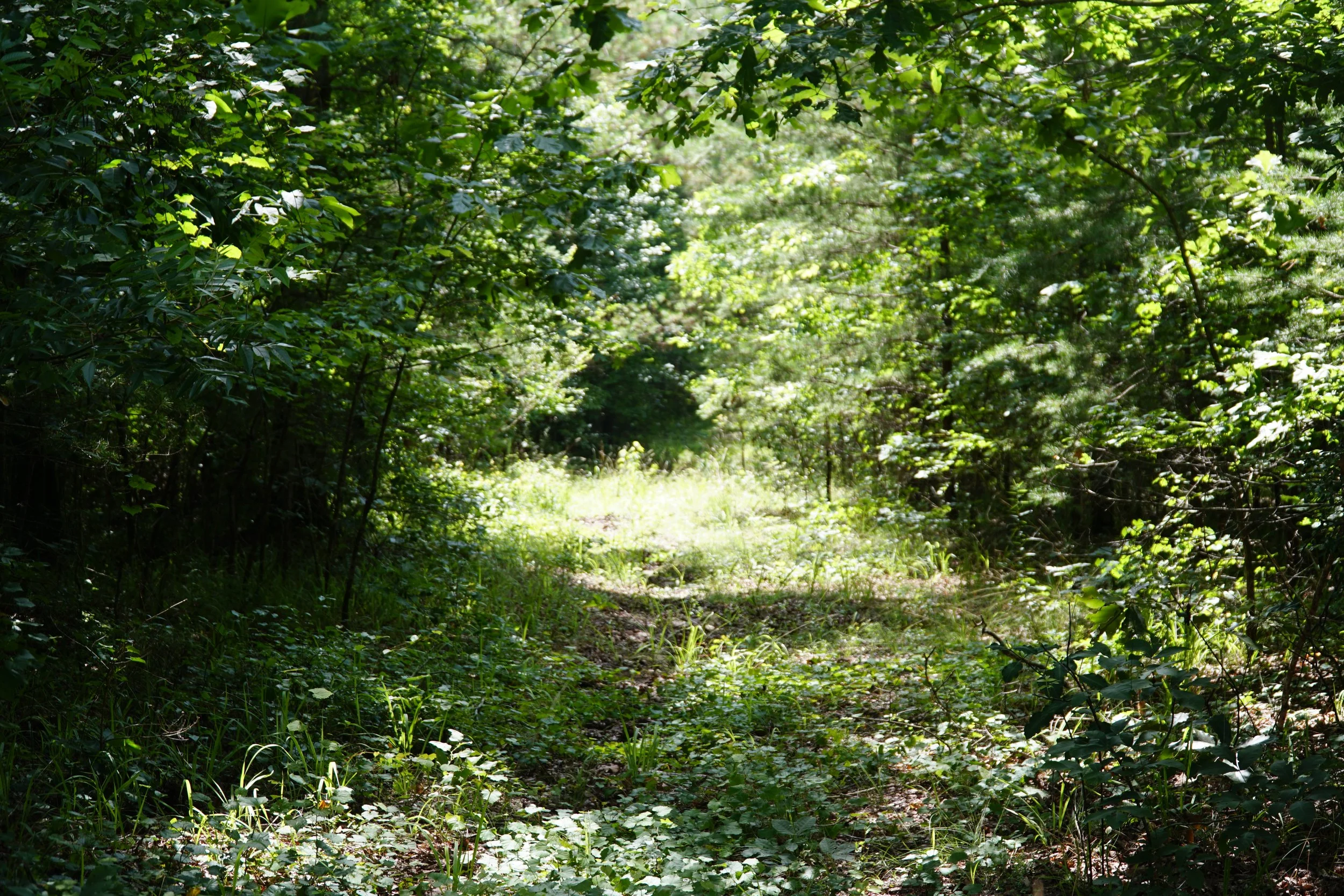 DSC03683.JPG