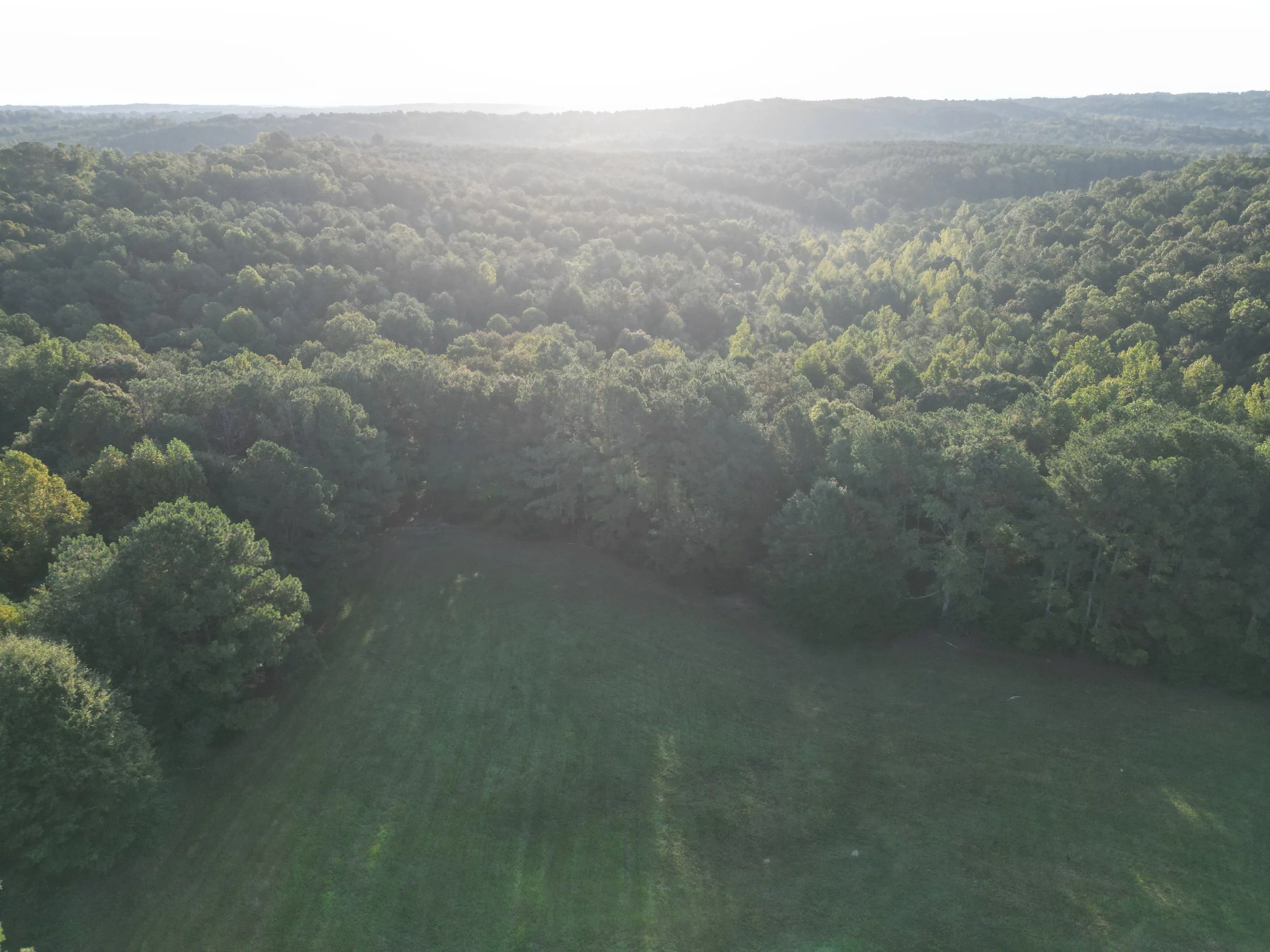 DJI_0312.JPG