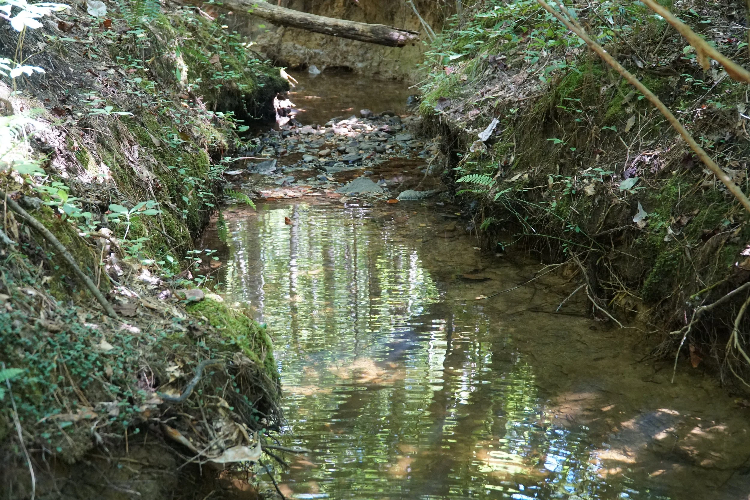 DSC04101.JPG