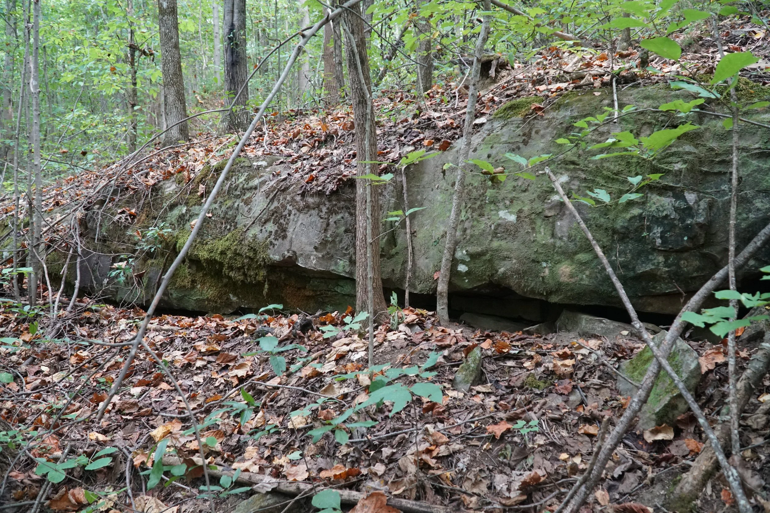 DSC04035.JPG