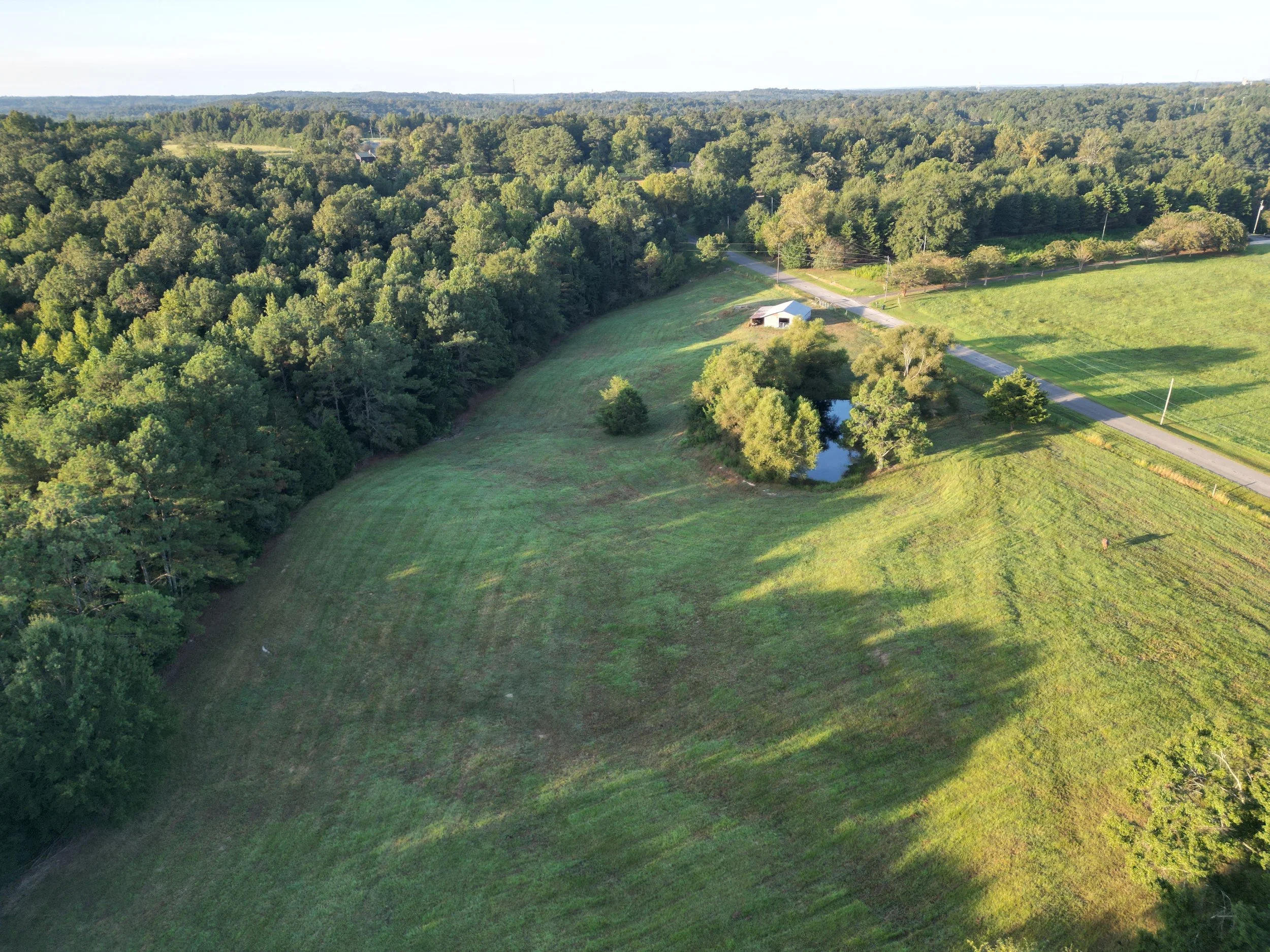 DJI_0314.JPG