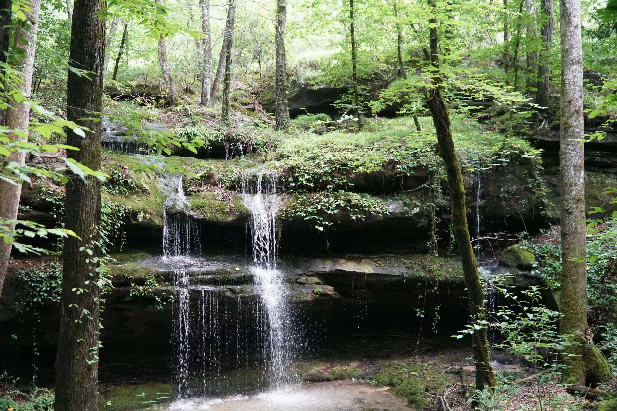 DSC03648.JPG