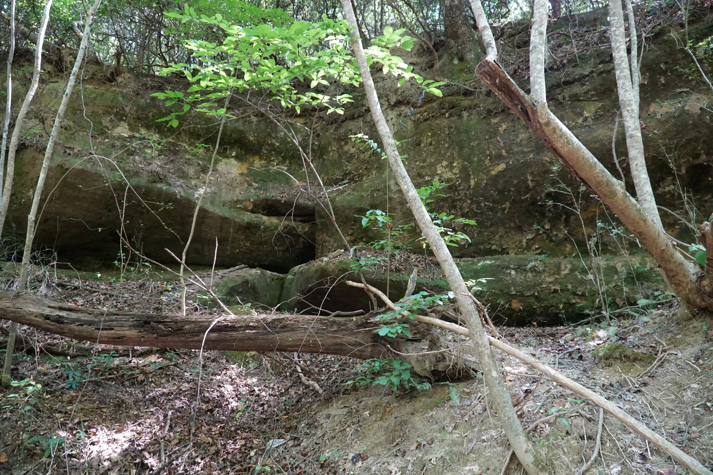 DSC04095.JPG