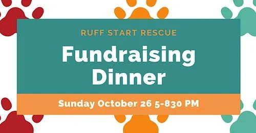 On the Rocks Fundraiser Dinner
