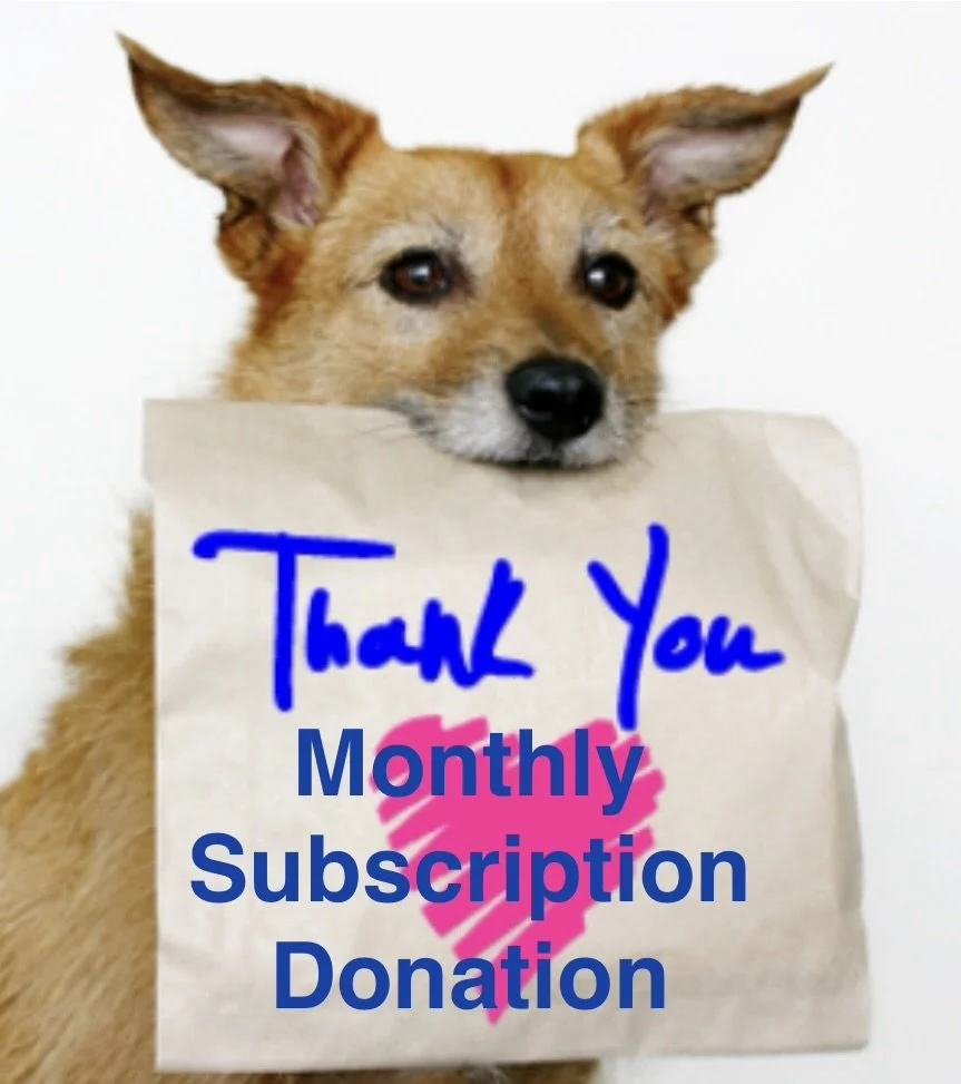 Monthly Subscription Donation