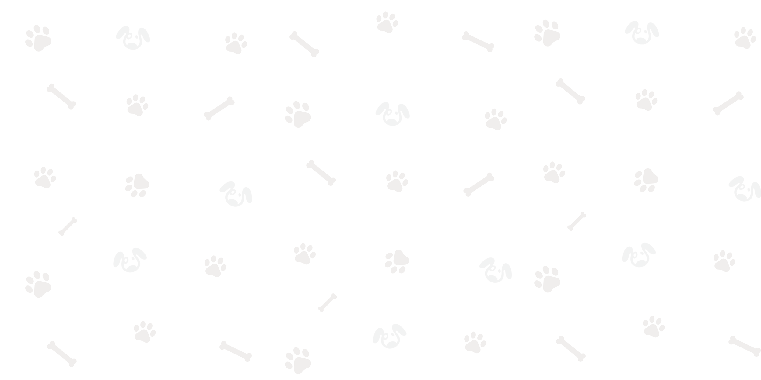 Adoptable dogs kamloops ruff start rescue society