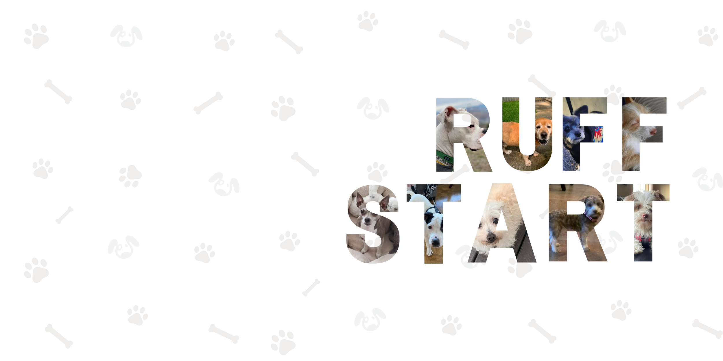 Kamloops Ruff Start Rescue Society