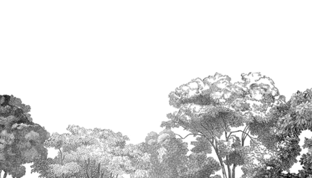 Milwaukee Wedding Venue DENIZEN MKE milwaukee-wedding-venue-denizen-mke