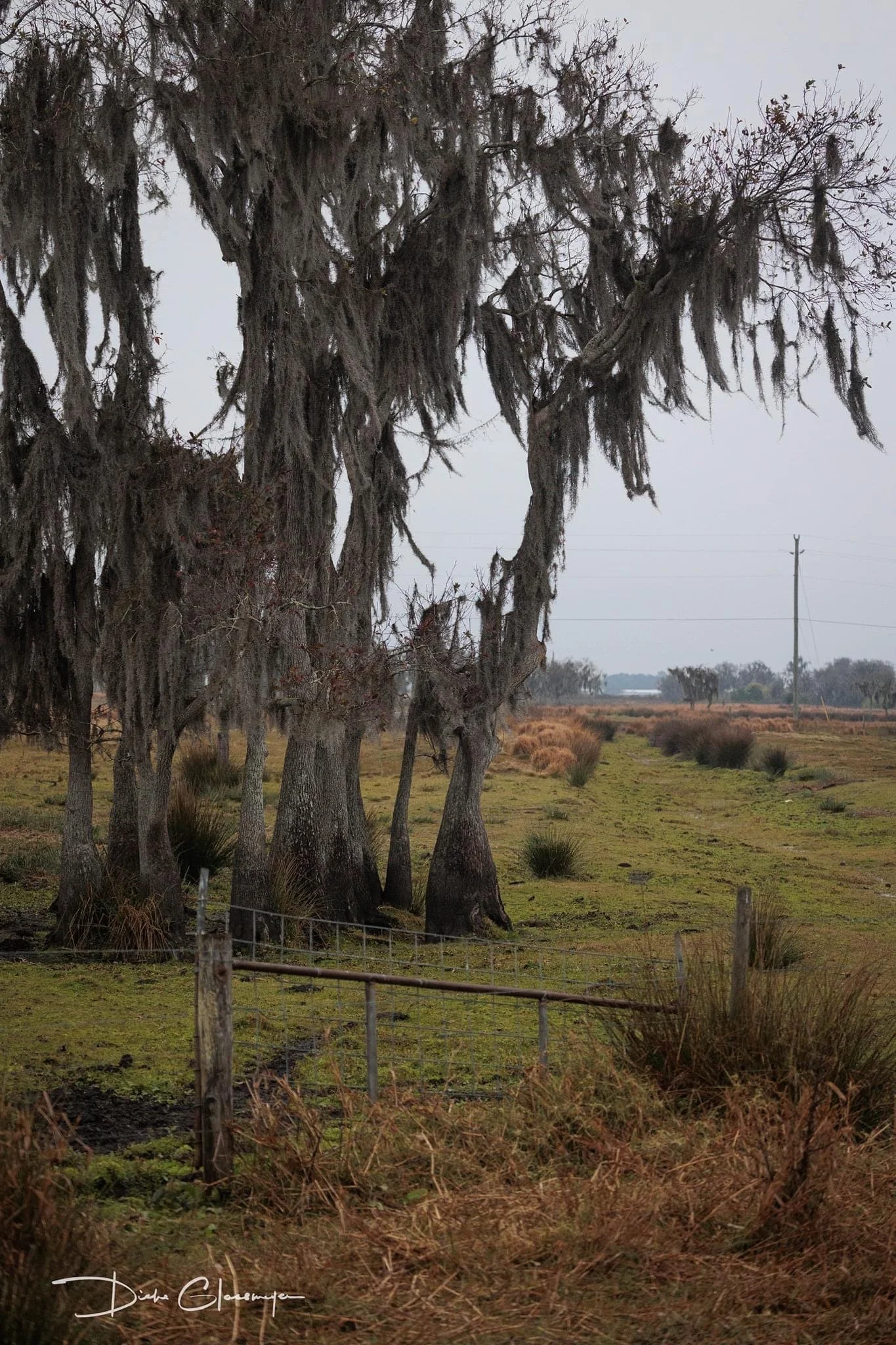 Back in the "outback"..doing land set-ups