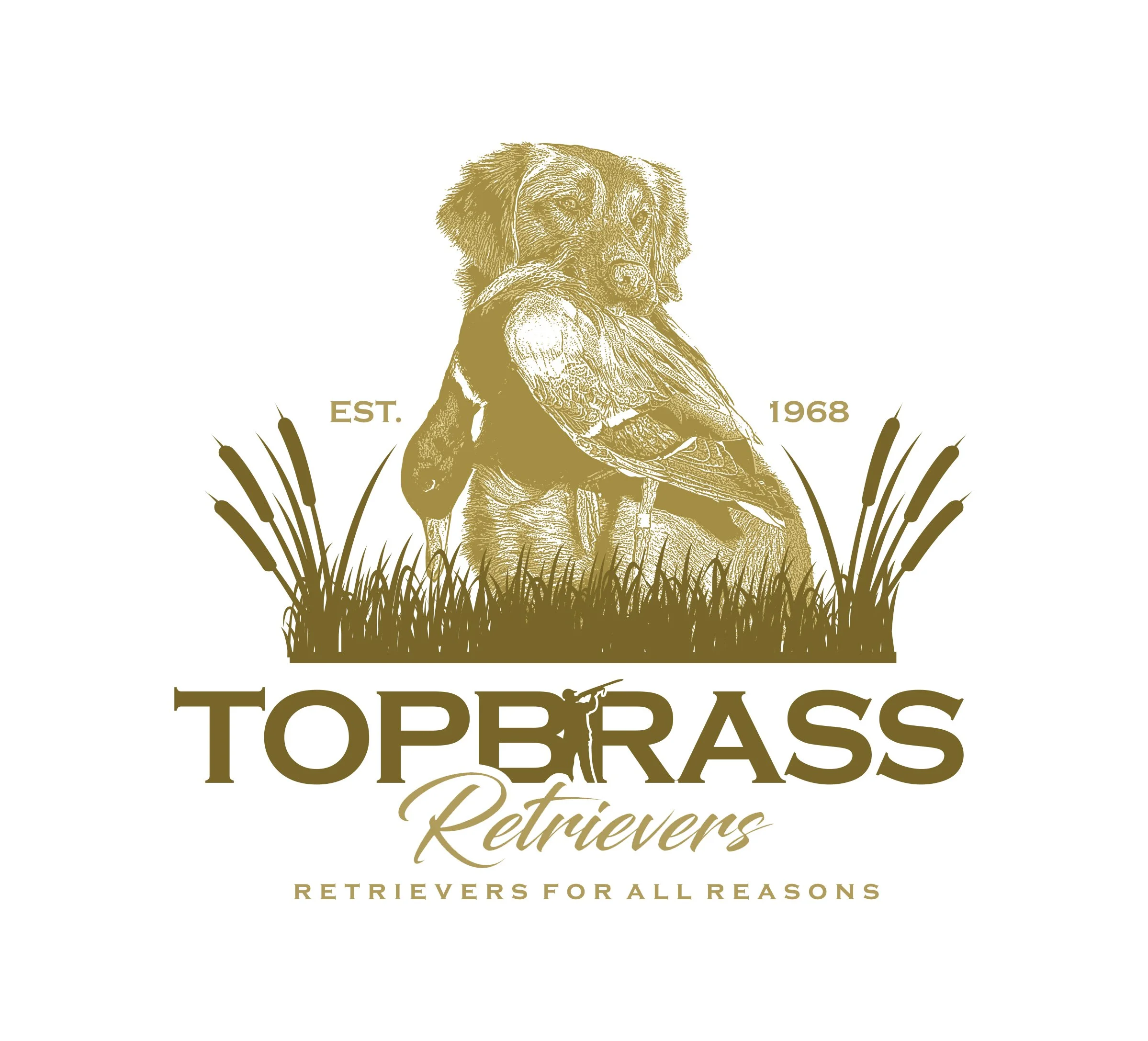 Topbrass Retrievers