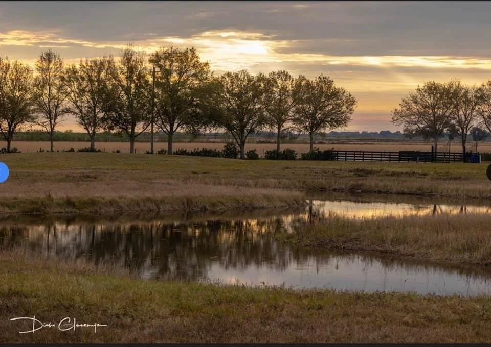 Gorgeous photo of the tech pond